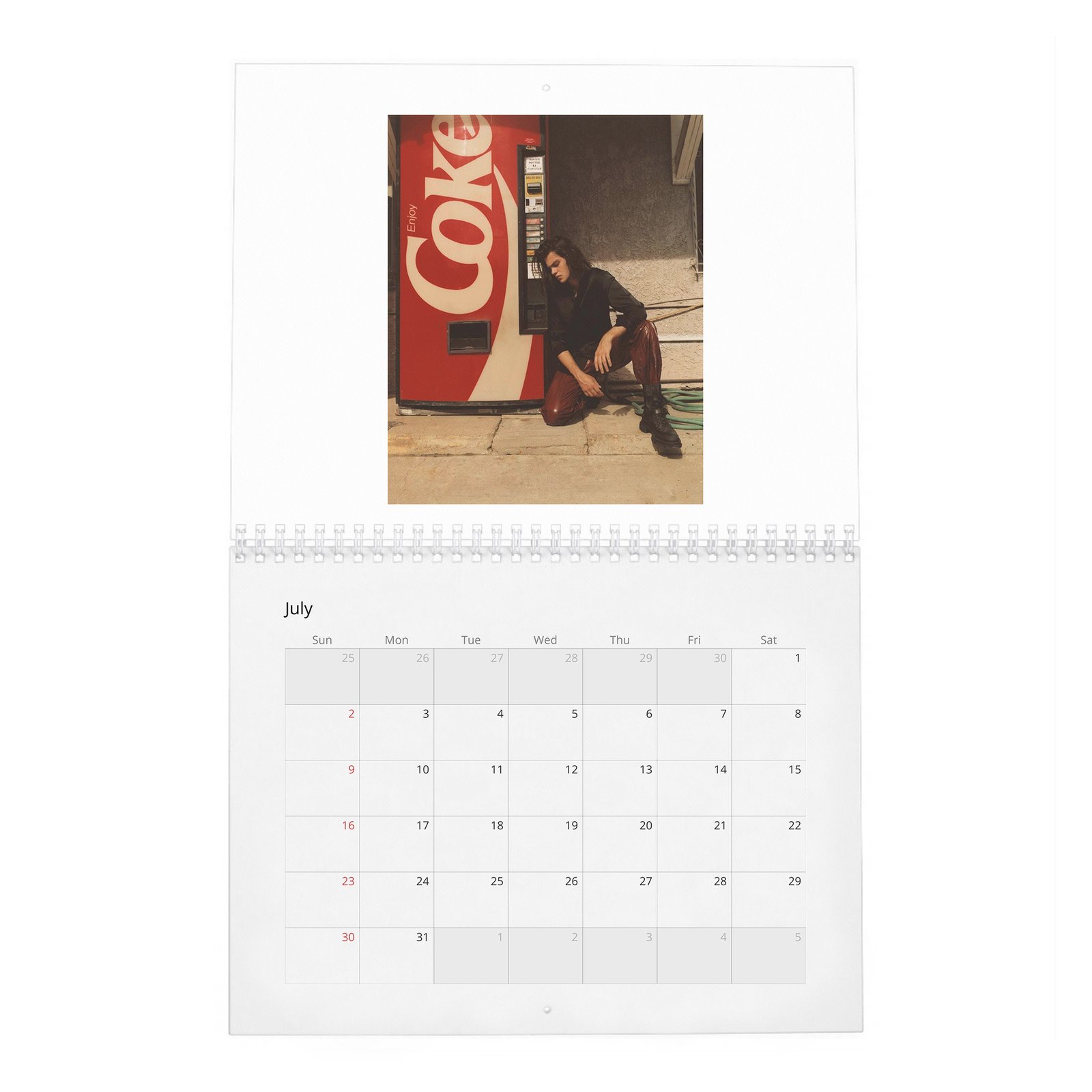 Felix Mallard - Flaunt 2027 Wall Calendar