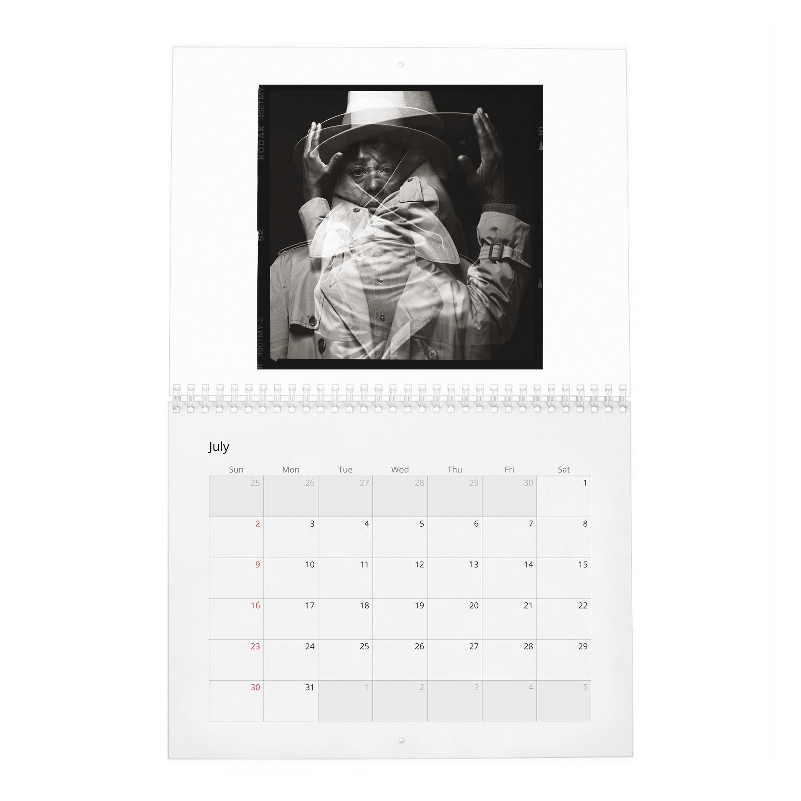 07 Giancarlo Esposito - Rogue 2027 Wall Calendar