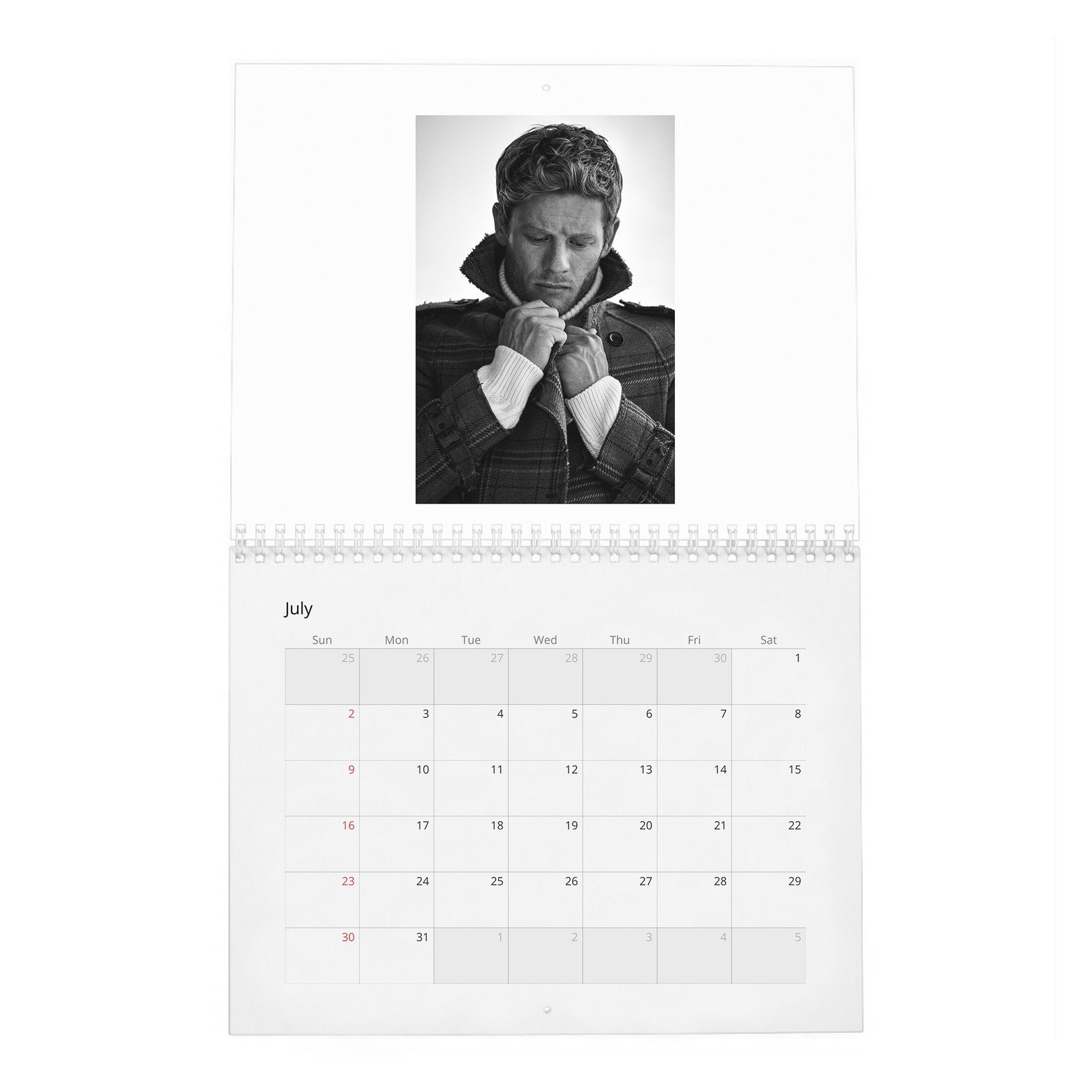 James Franco - The Real 2027 Wall Calendar