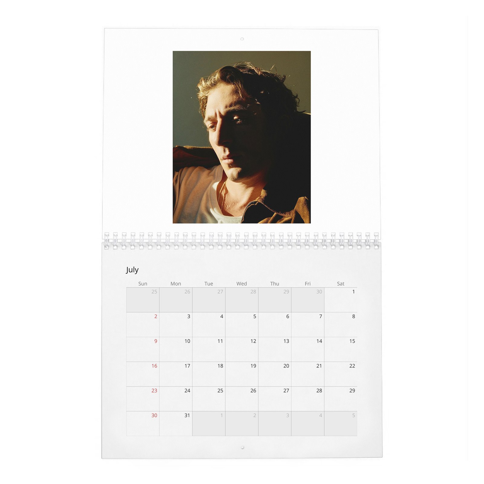 Jeremy Allen White - Yes Chef 2027 Wall Calendar
