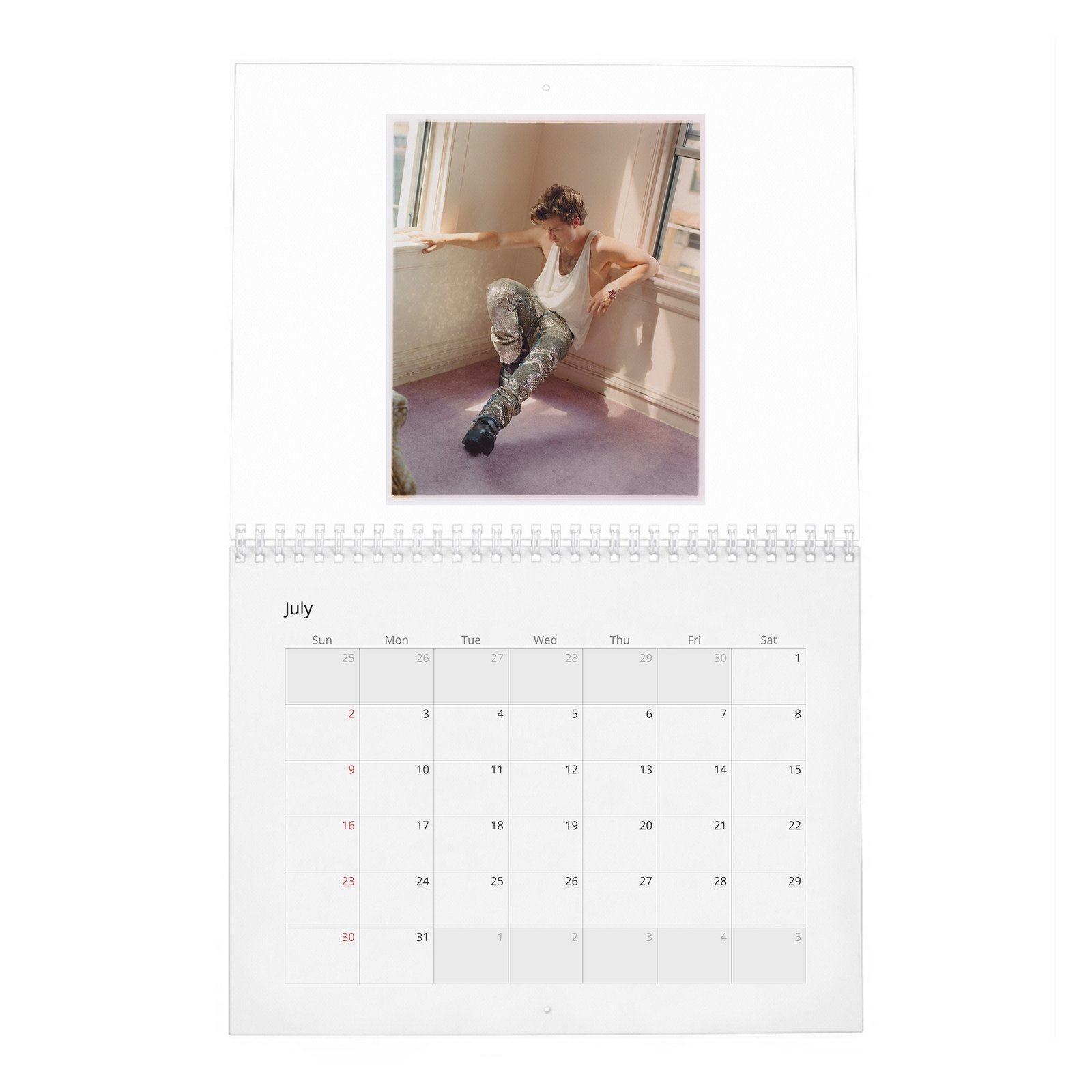 Joe Keery - Levels Up 2027 Wall Calendar