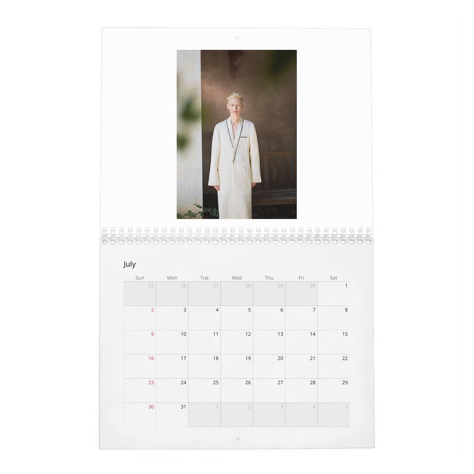 07 Tilda Swinton - Cine-Nerd 2027 Wall Calendar