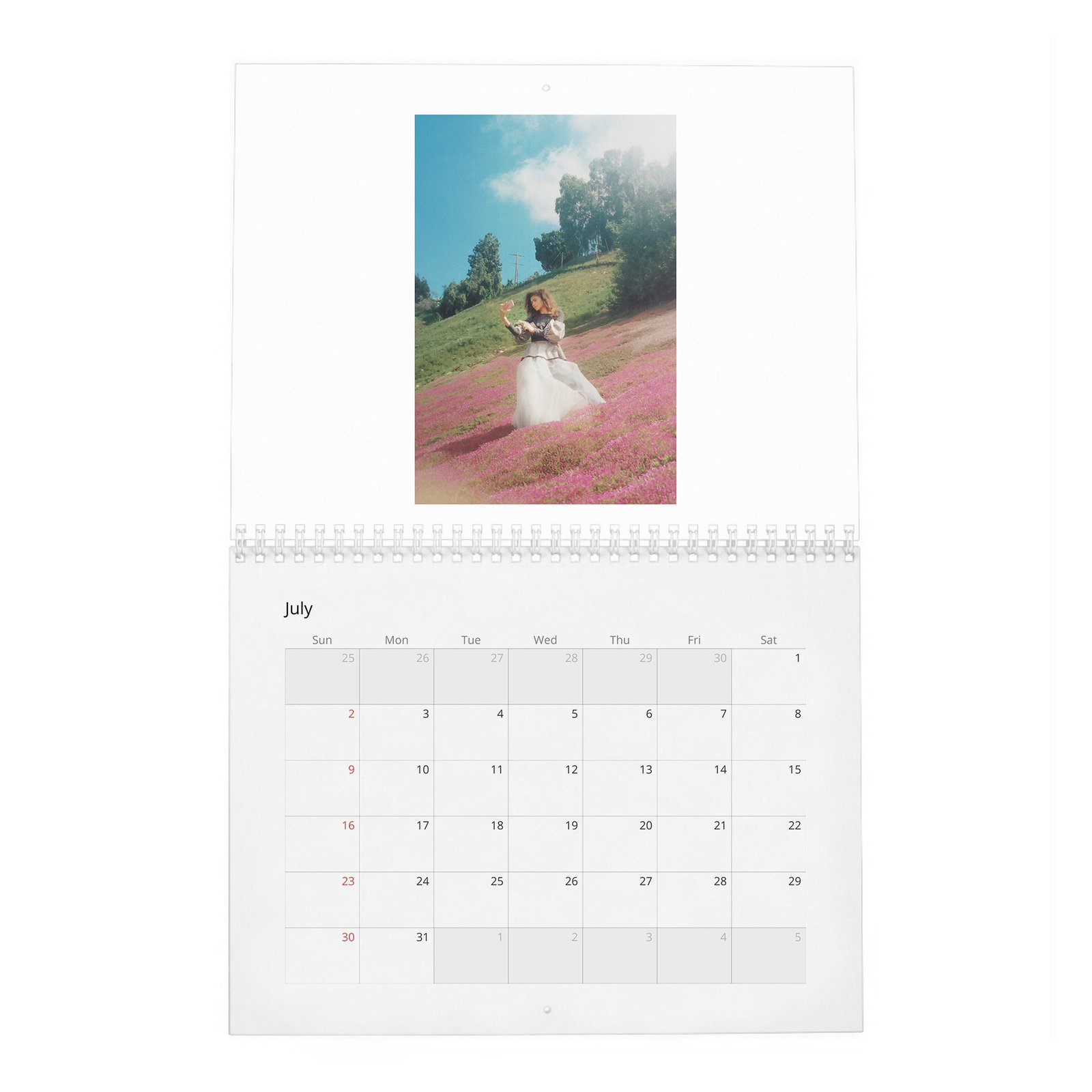 Zendaya - Wonderland 2027 Wall Calendar