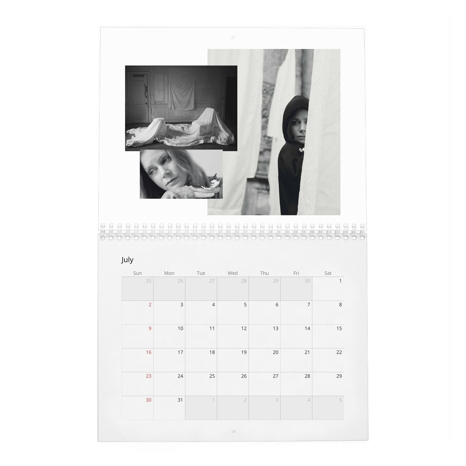 07 Amy Adams - So It Goes 2027 Wall Calendar