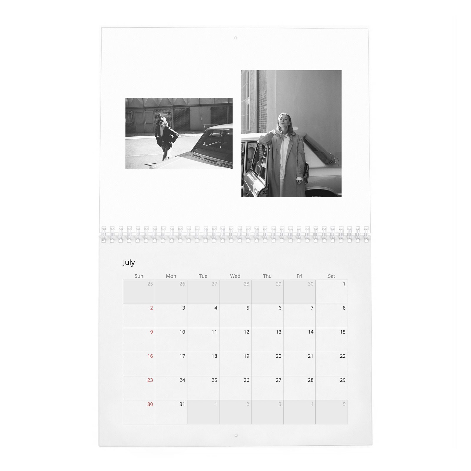 07 Cate Blanchett - Leading Light 2027 Wall Calendar