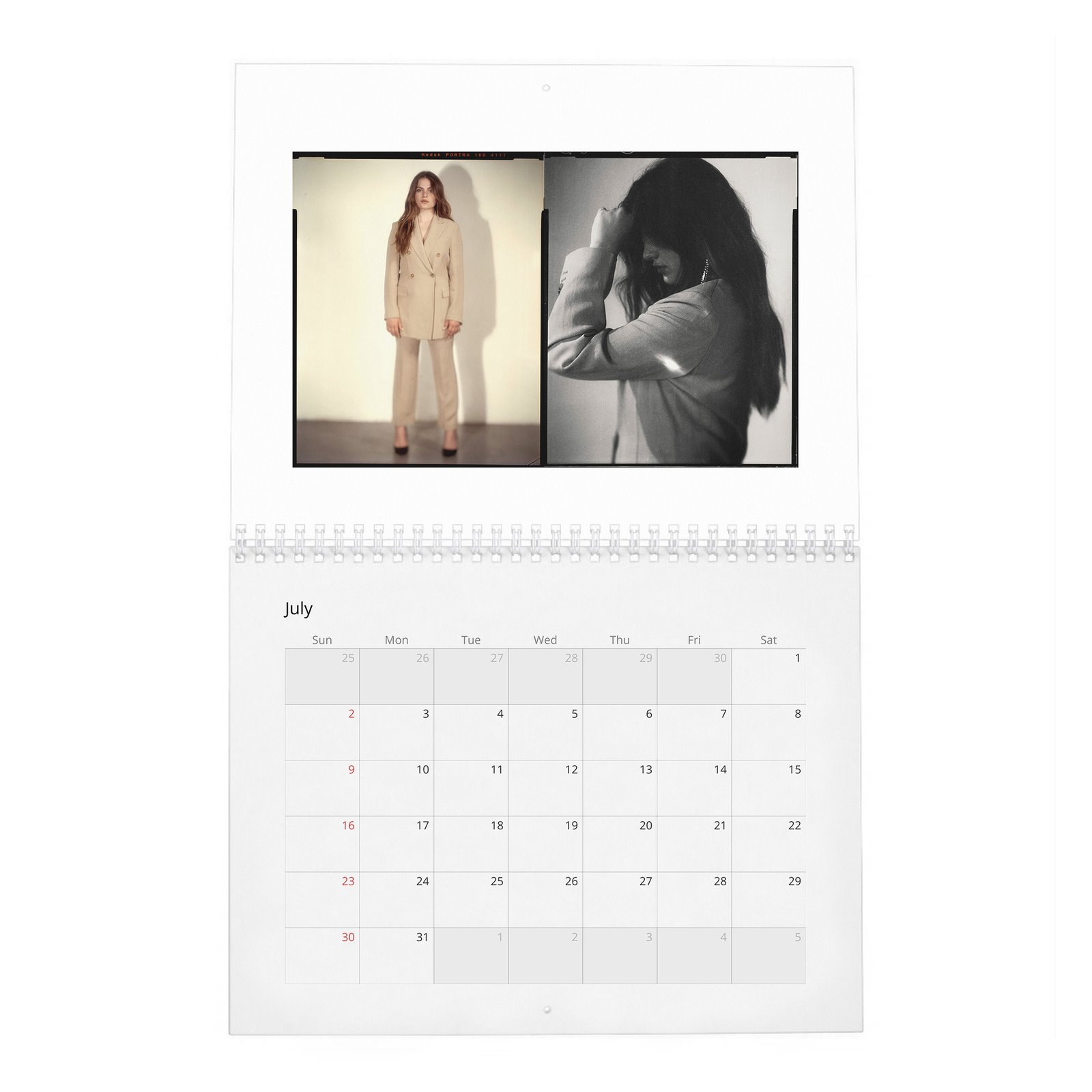 07 Chiara Aurelia - Aptitude And Ease 2027 Wall Calendar