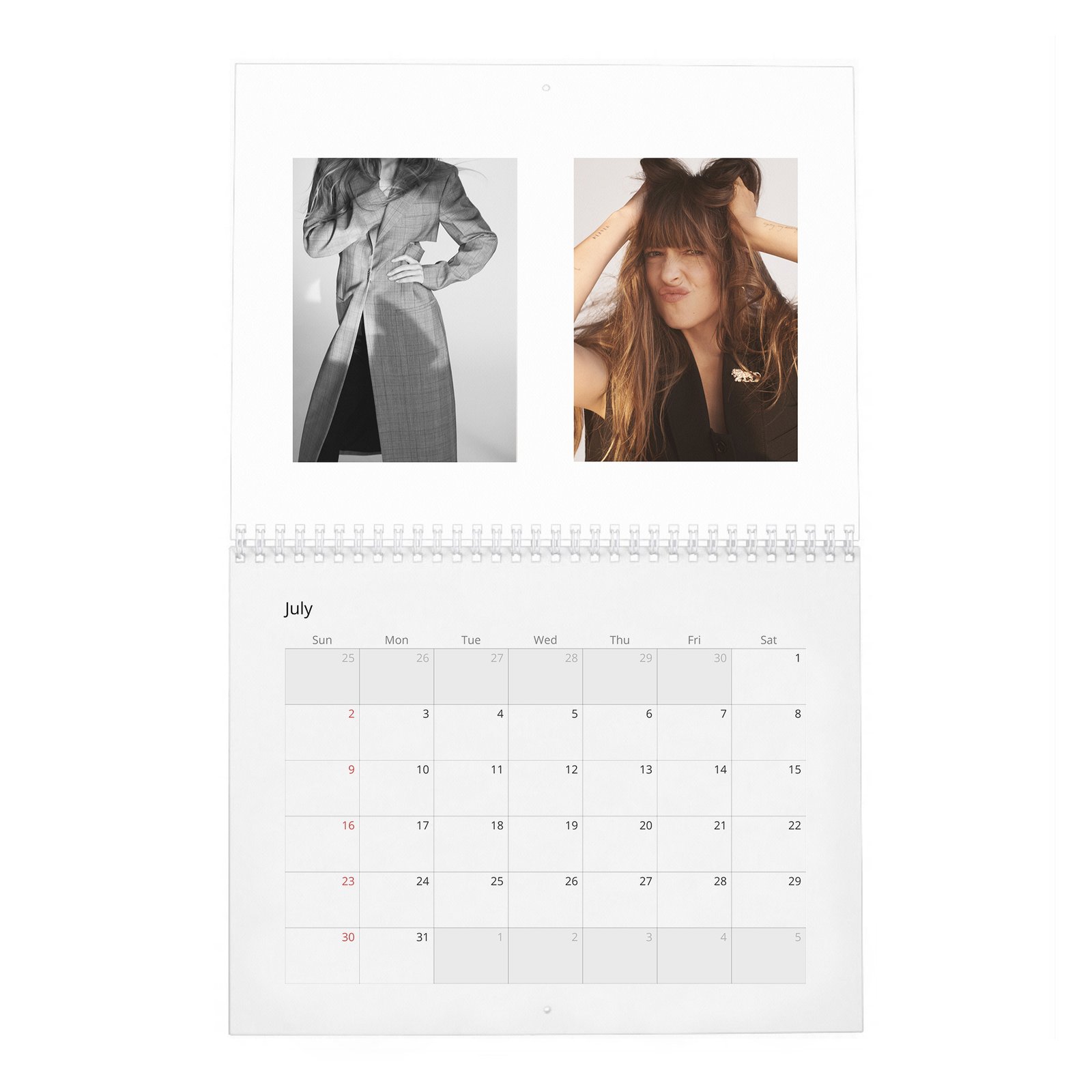 Dakota Johnson - Finding Her Light 2027 Wall Calendar