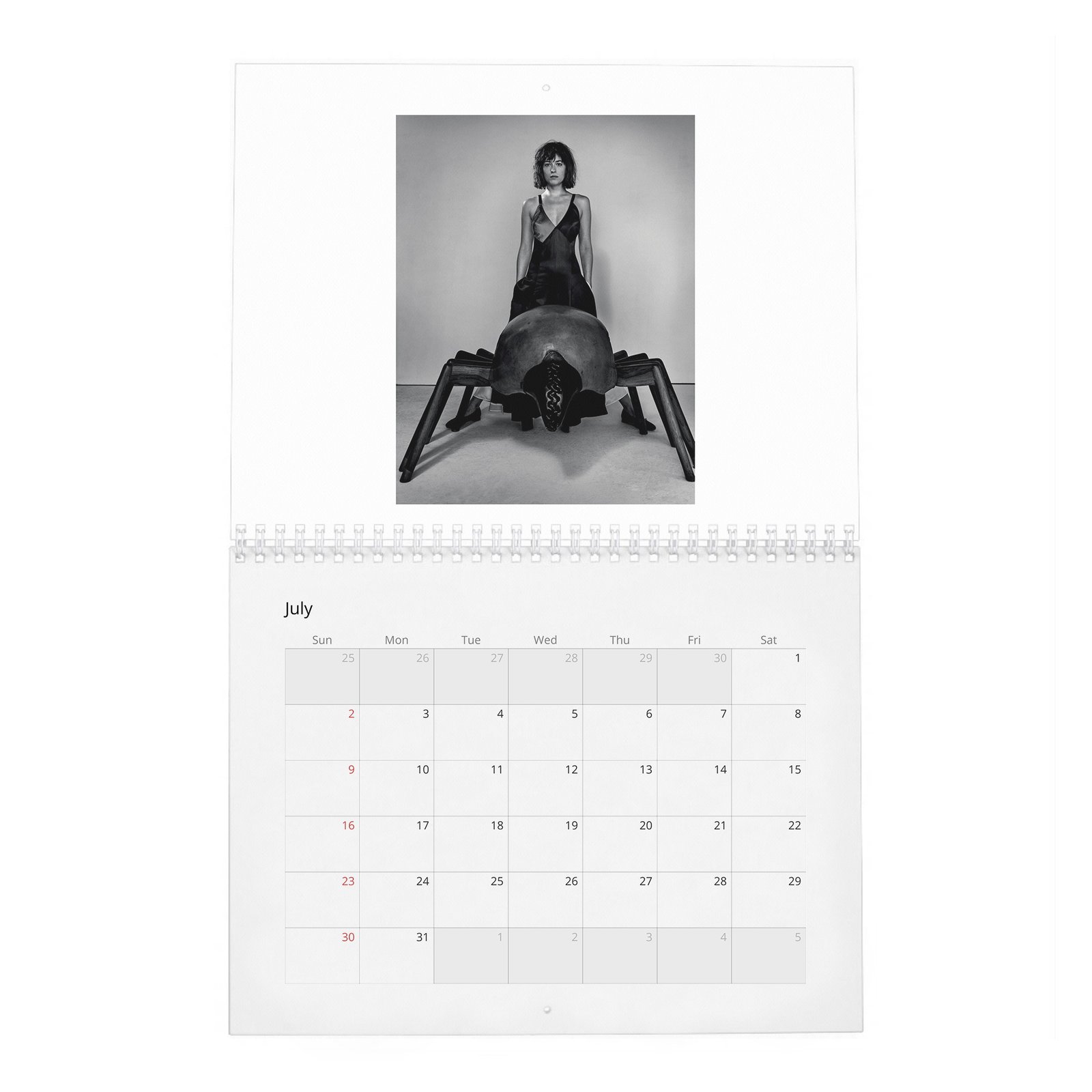 Dakota Johnson - Present A New Vision 2027 Wall Calendar