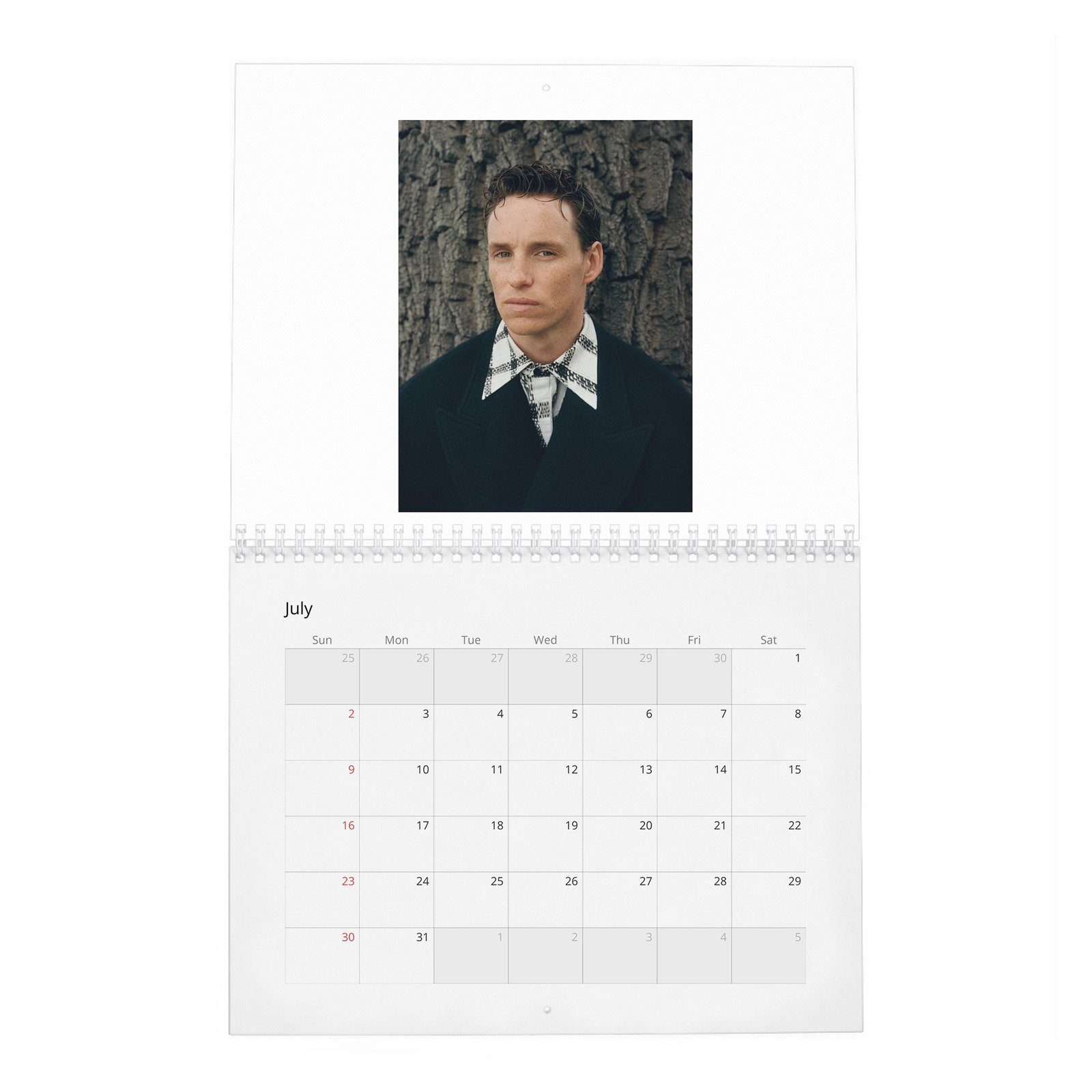 07 Eddie Redmayne - English Class 2027 Wall Calendar