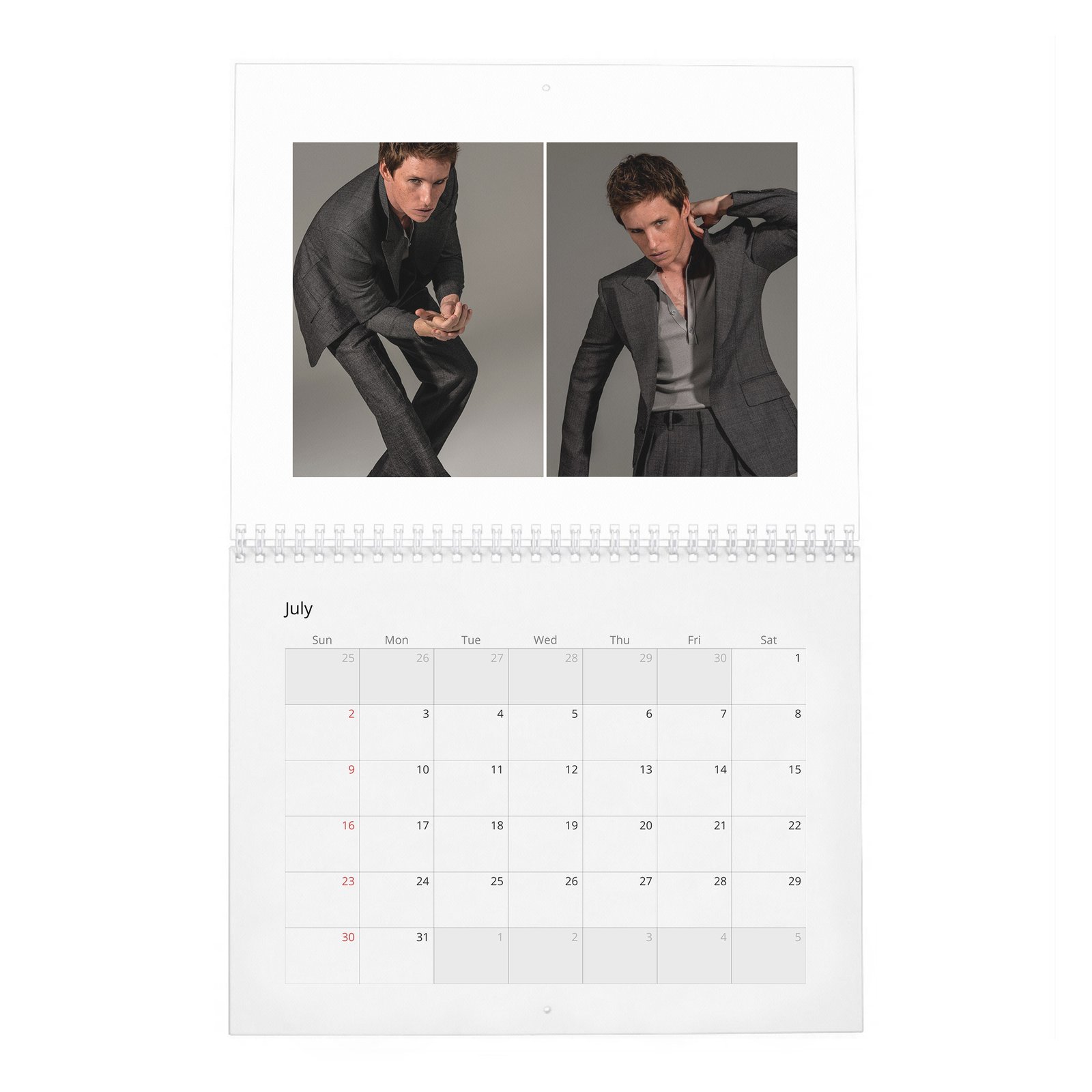Eddie Redmayne - In Theory It Has Everything 2027 Wall Calendar