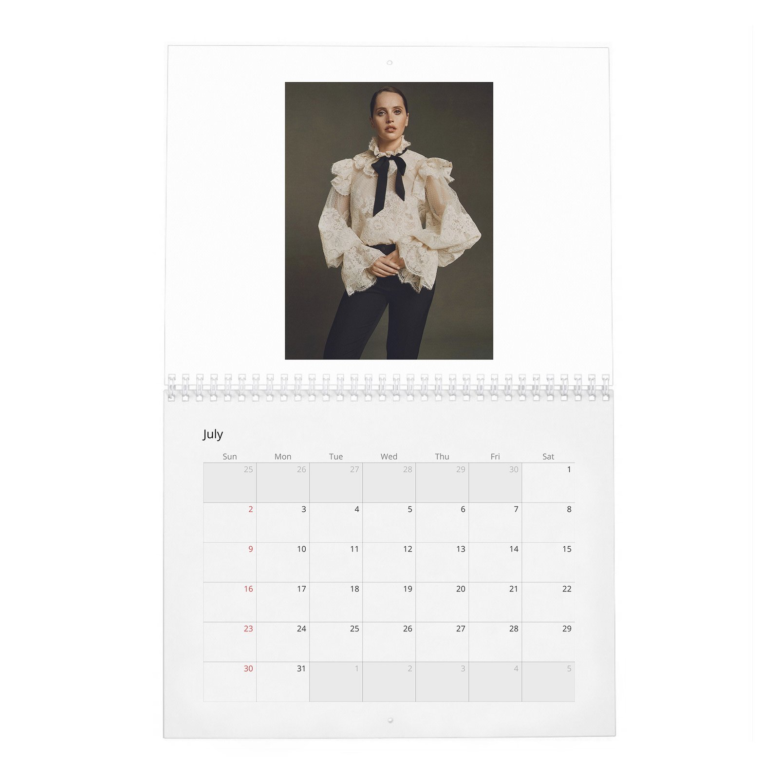 Felicity Jones - Rebel With A Cause 2027 Wall Calendar