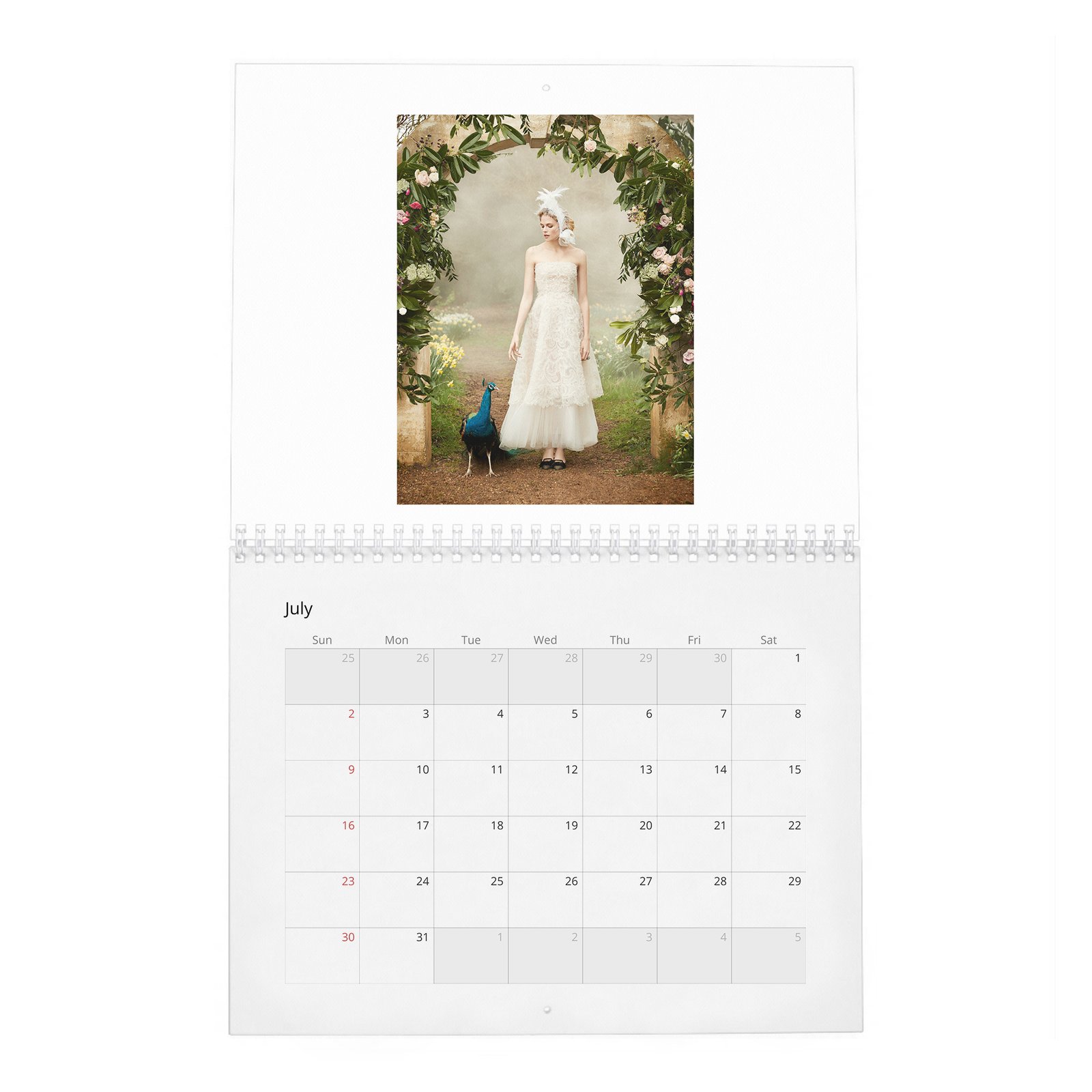 Gabriella Wilde - In Fine Feather 2027 Wall Calendar
