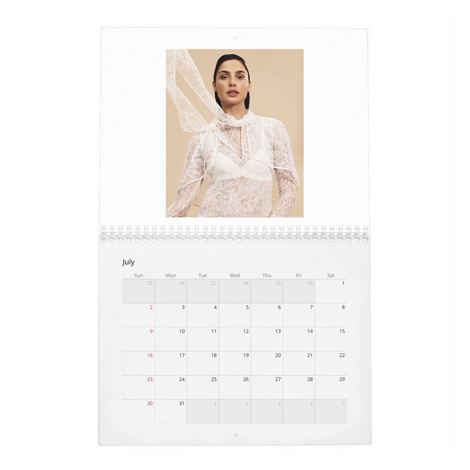 07 Gal Gadot - Real-Life Heroine 2027 Wall Calendar