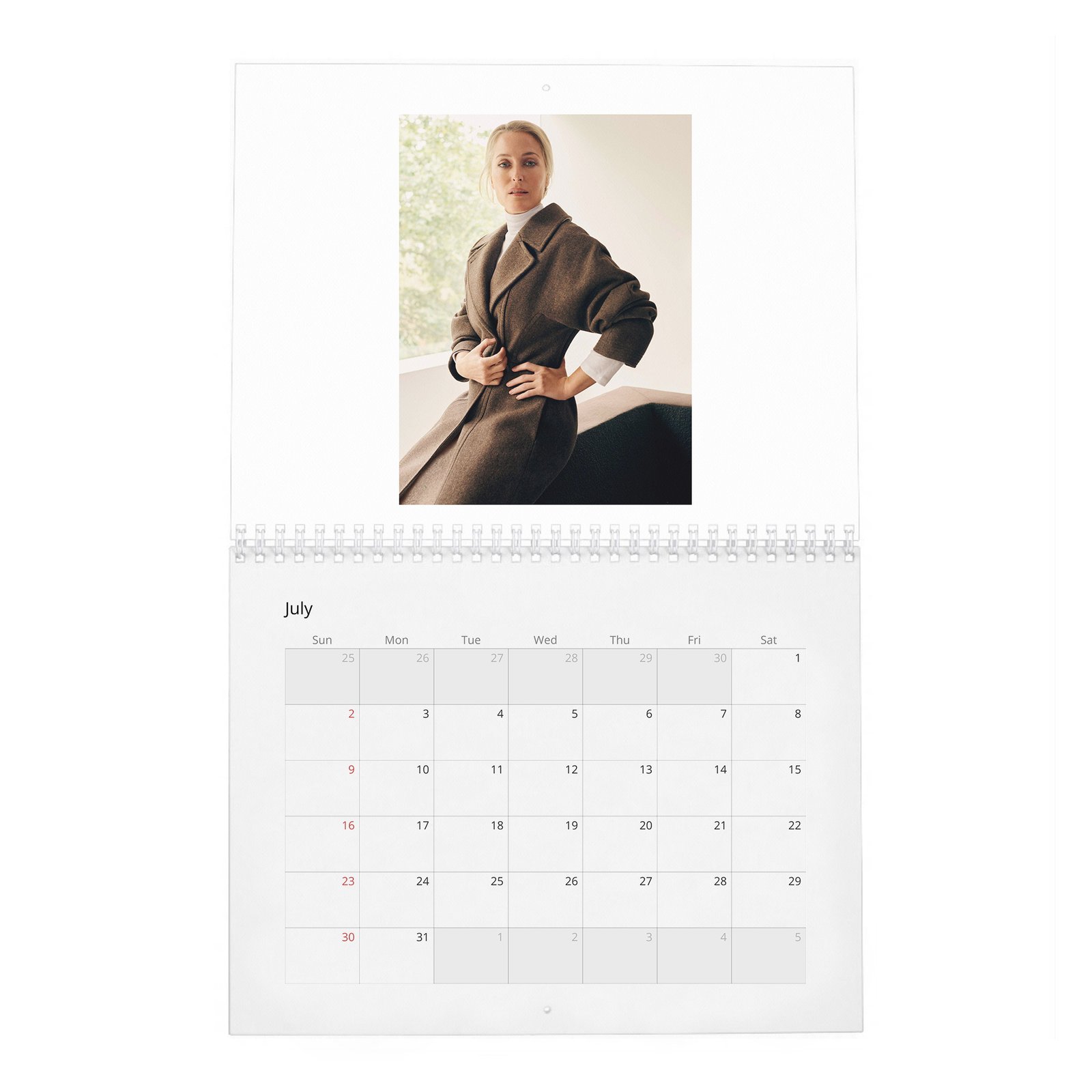 07 Gillian Anderson - Prime Time 2027 Wall Calendar