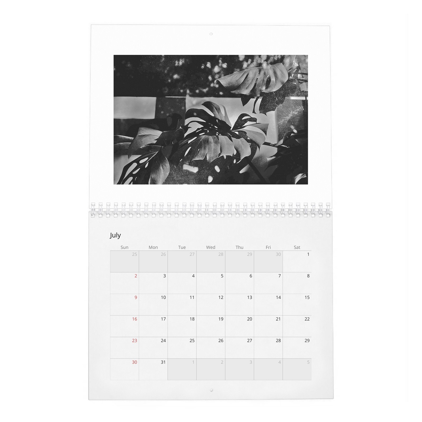 07 Haley Bennett - Interview 2027 Wall Calendar