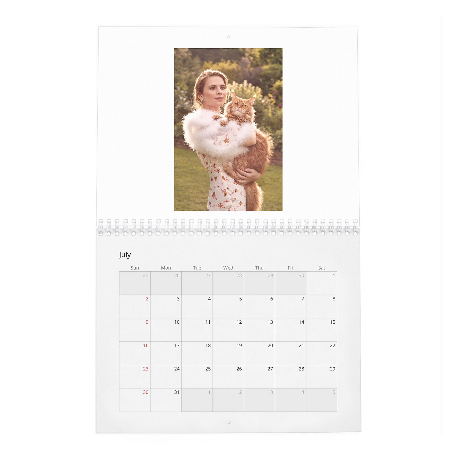 07 Hayley Atwell - Inside The Hundred Acre Wood 2027 Wall Calendar
