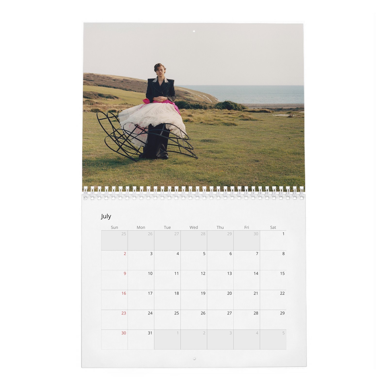 07 Harry Styles - Playtime 2027 Wall Calendar