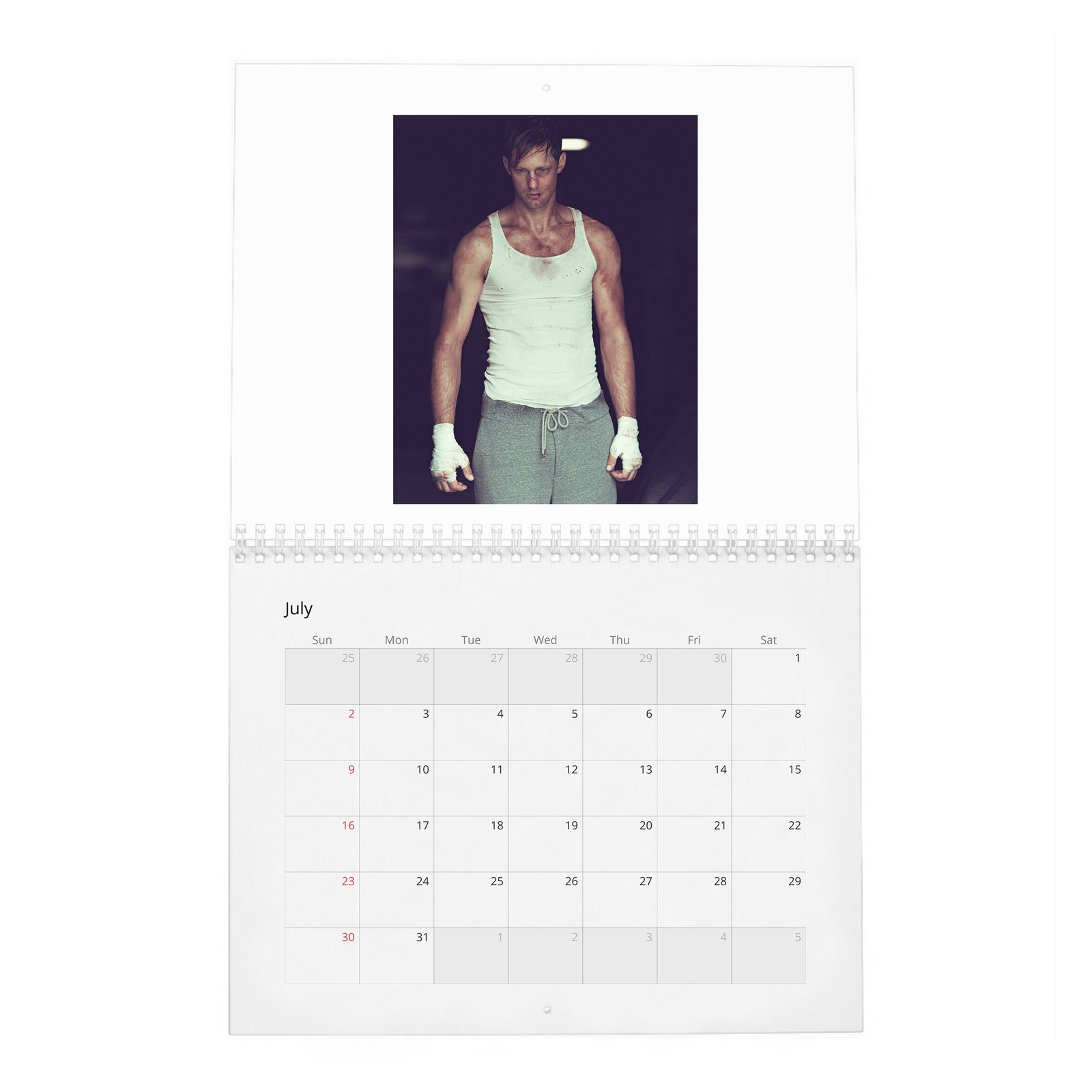 07 Alexander Skarsgard - Knockout At Fortune Gym 2027 Wall Calendar