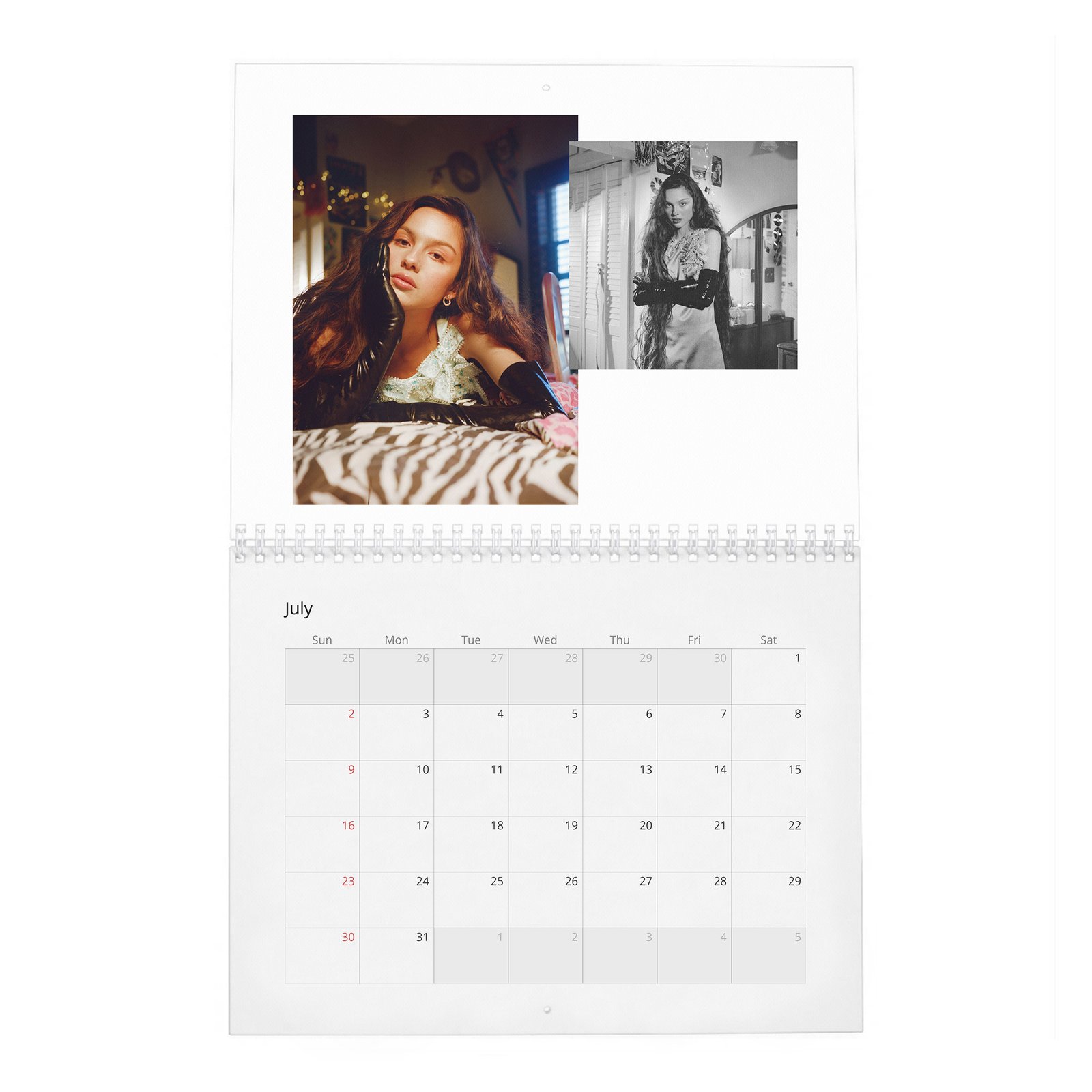 07 Olivia Rodrigo - Rising Star 2027 Wall Calendar