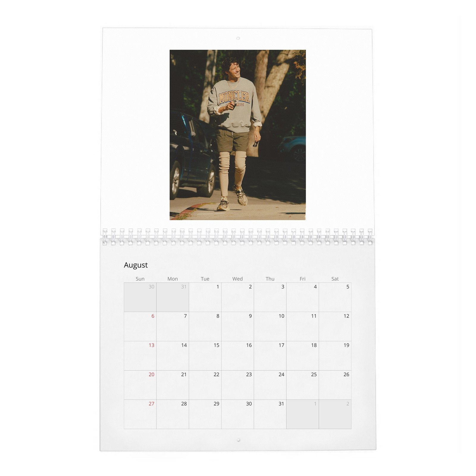 08 Cesar Domboy - Flaunt 2027 Wall Calendar