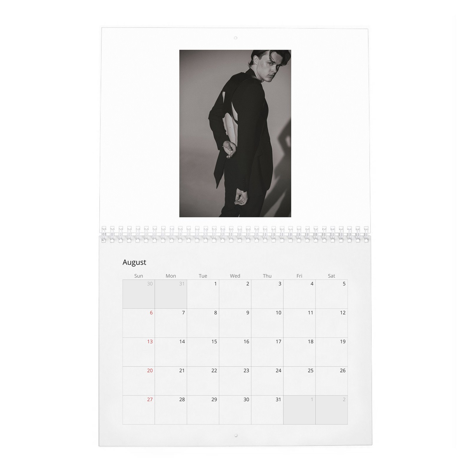 Christopher Briney - New Star 2027 Wall Calendar