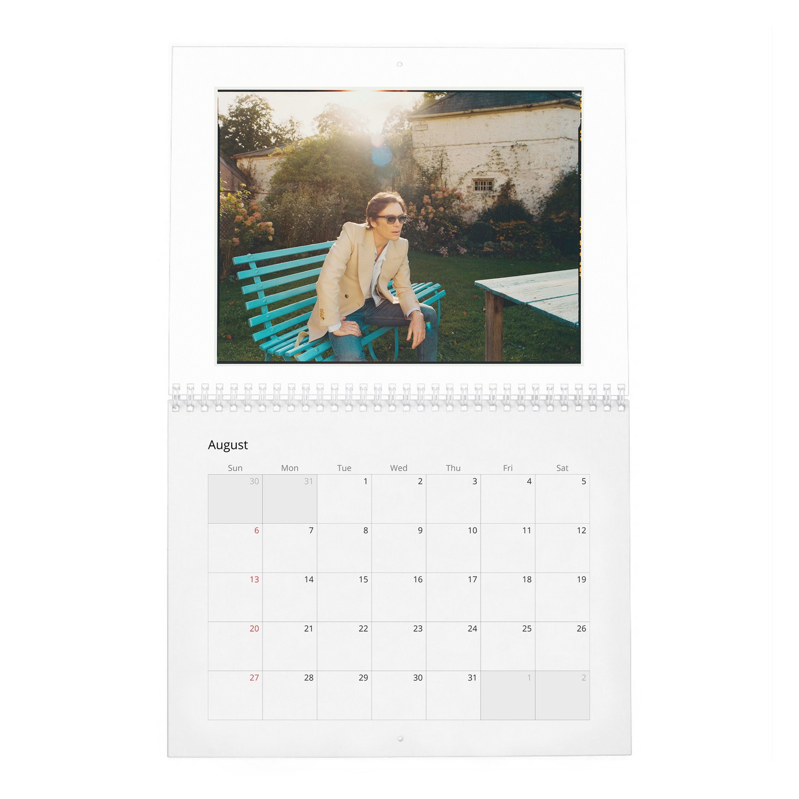 08 Cillian Murphy - Field Of His Own 2027 Wall Calendar