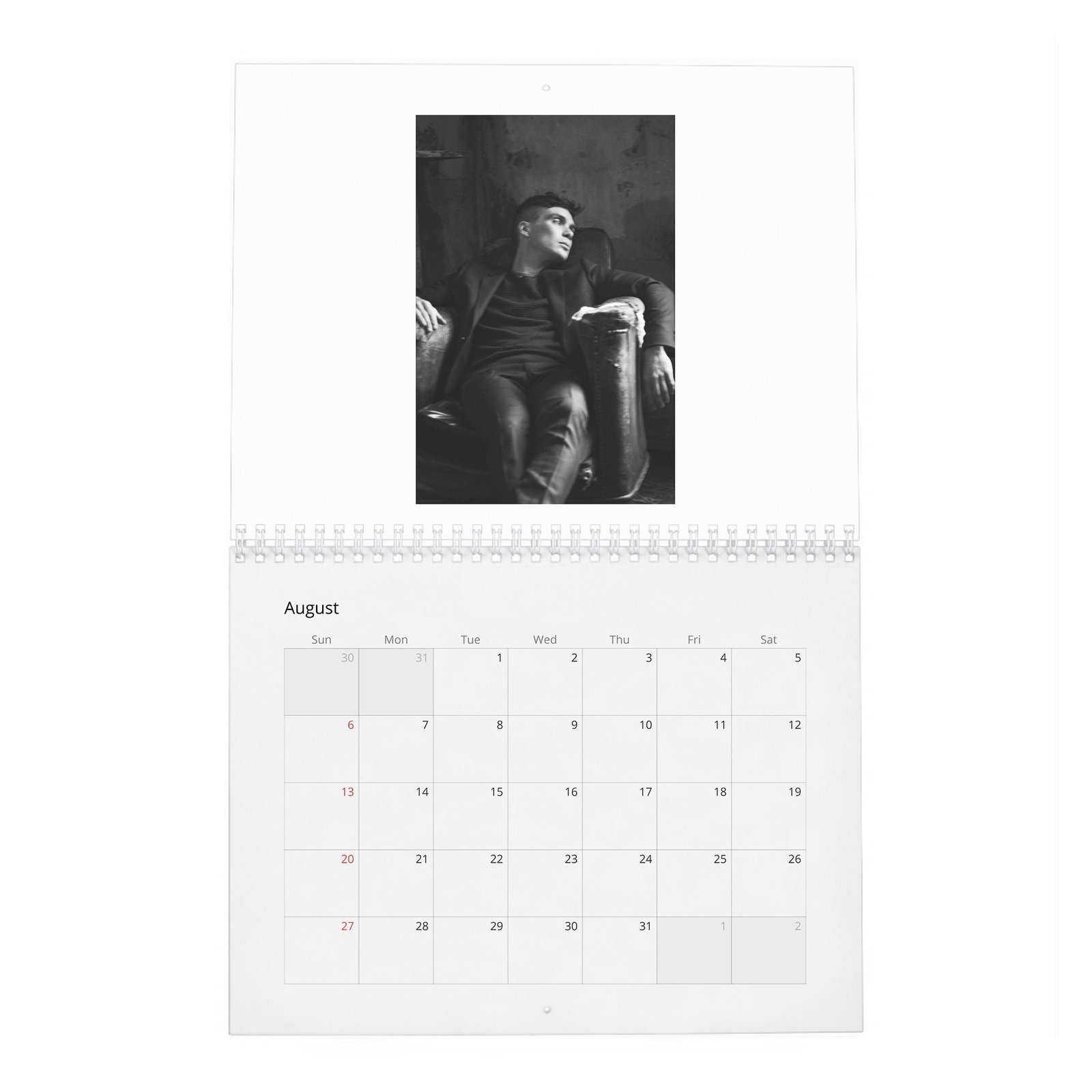 08 Cillian Murphy - So It Goes 2027 Wall Calendar