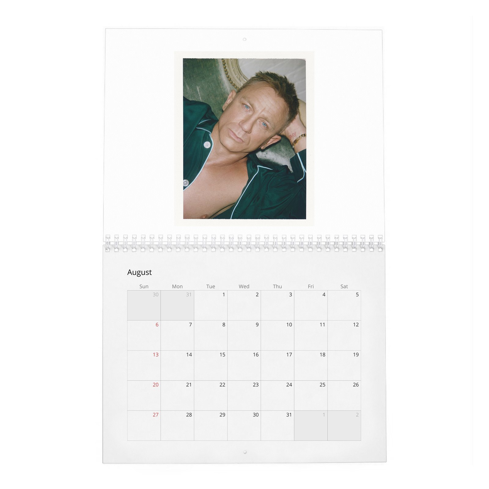 08 Daniel Craig - Heart Of An Assassin 2027 Wall Calendar