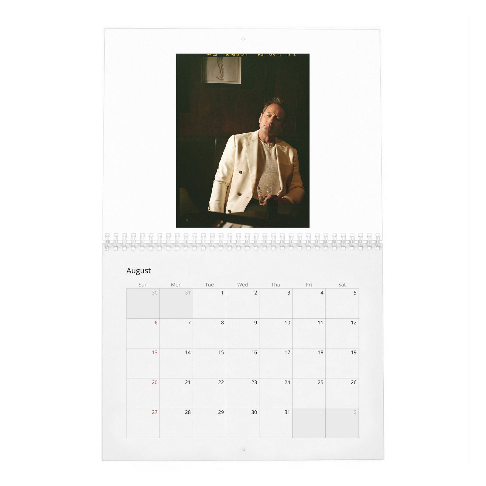 David Duchovny - Weekend In The Life 2027 Wall Calendar