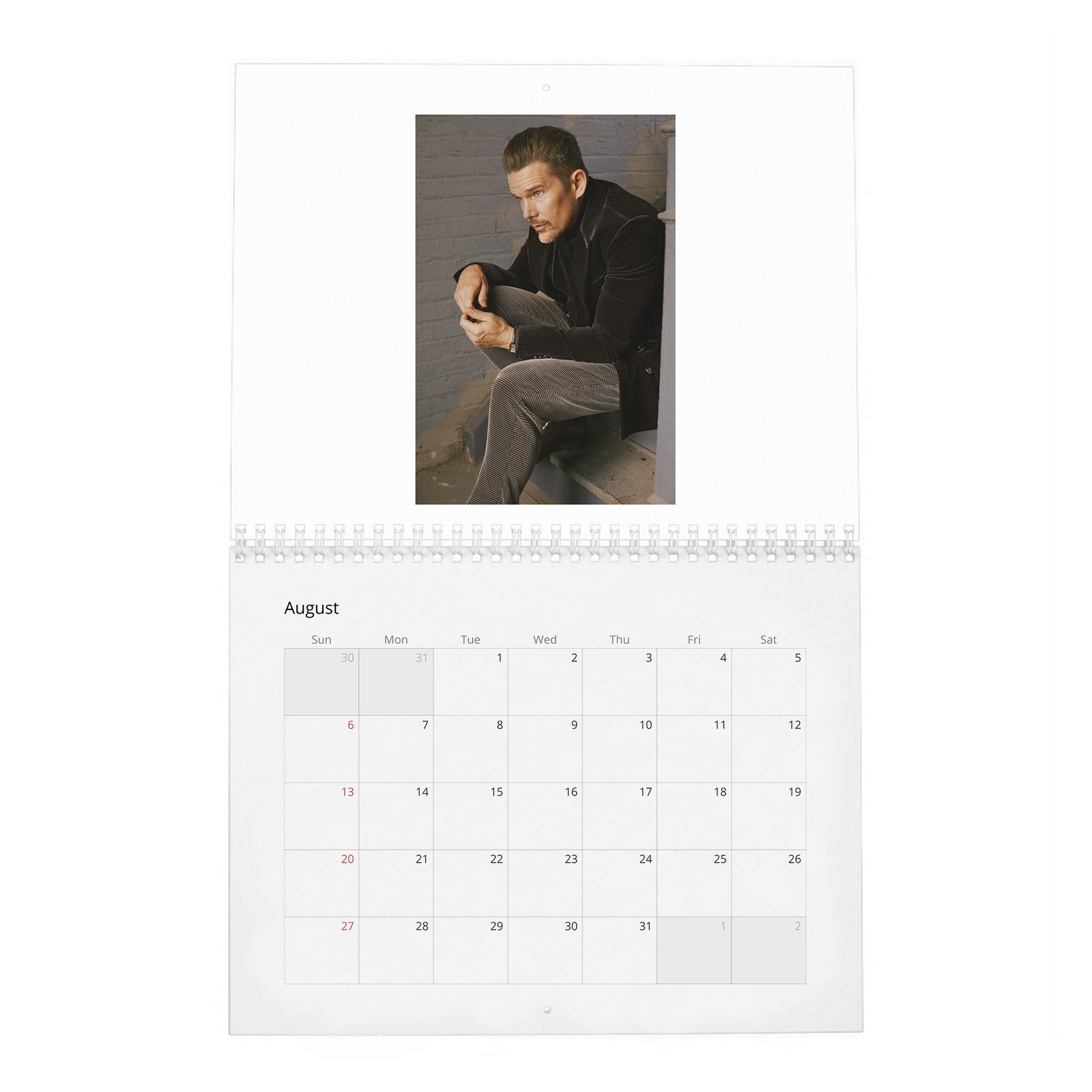 08 Ethan Hawke - Always In Style 2027 Wall Calendar