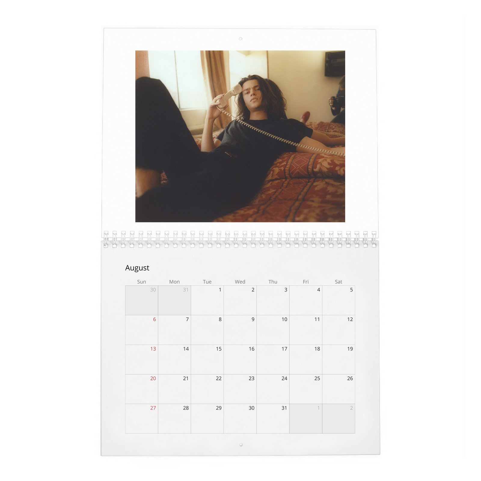 Felix Mallard - Flaunt 2027 Wall Calendar