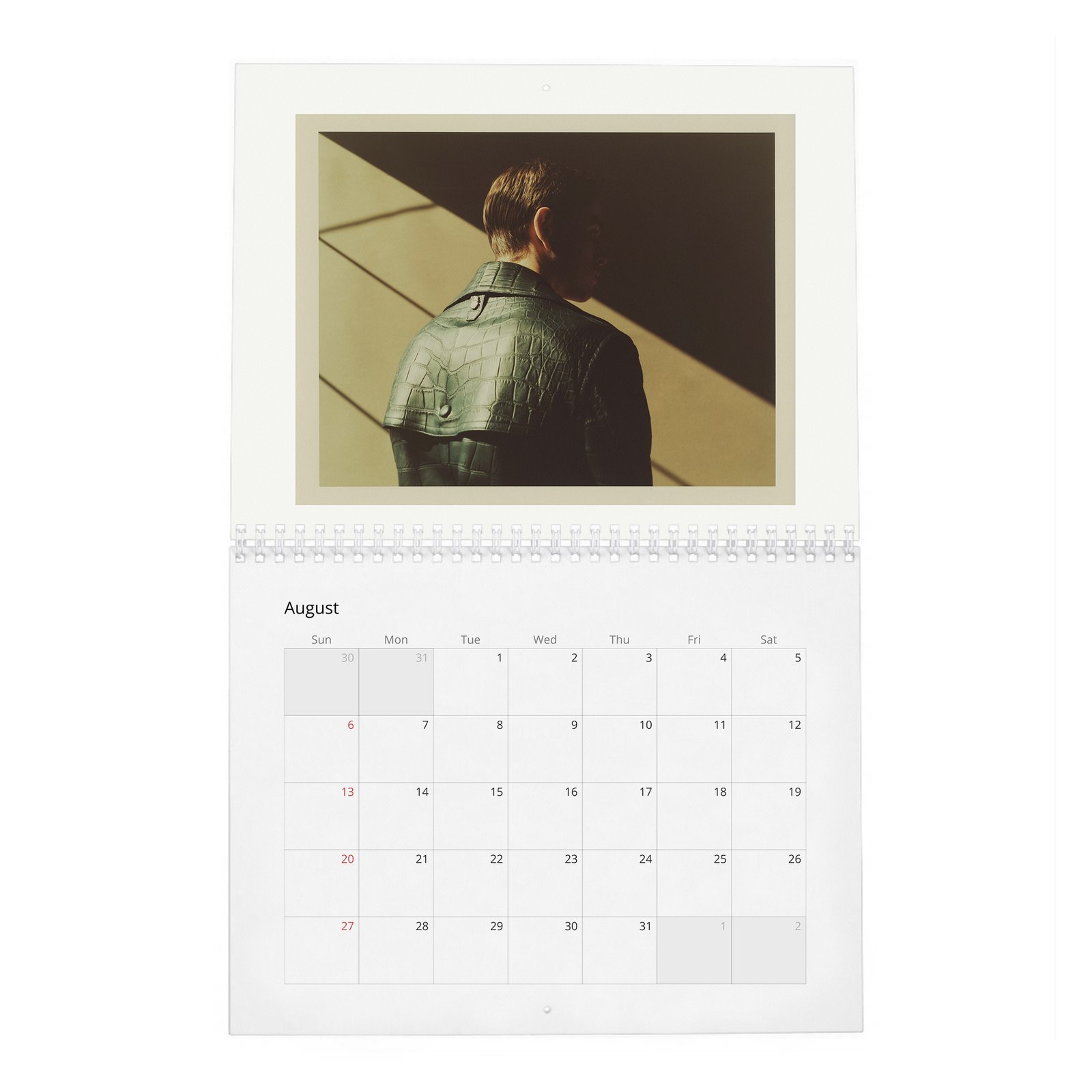 08 Harris Dickinson - Playing With Light 2027 Wall Calendar
