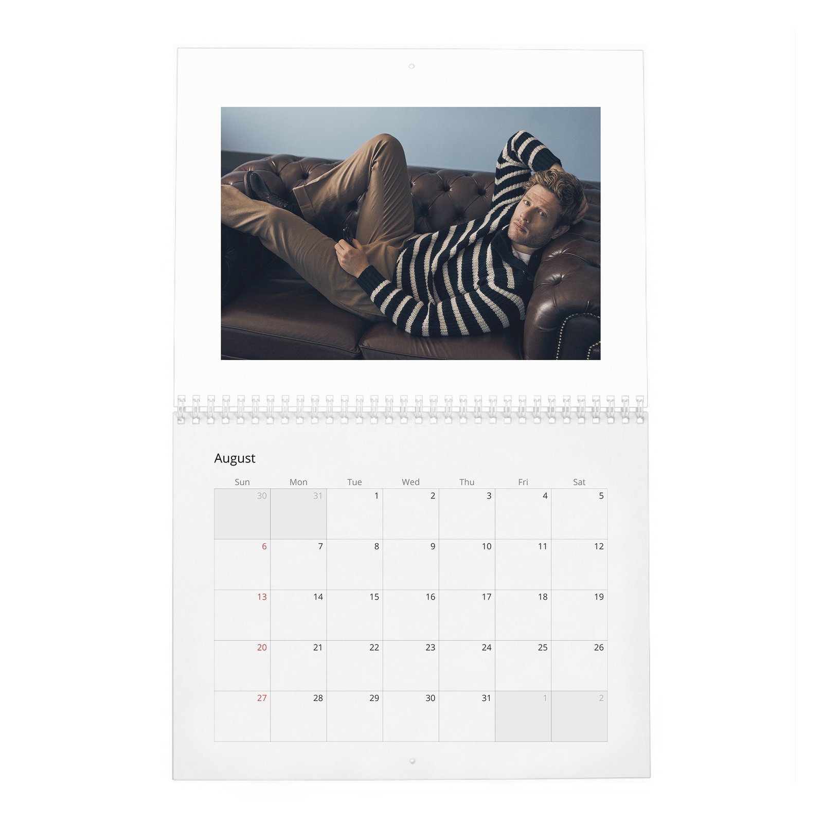 James Franco - The Real 2027 Wall Calendar