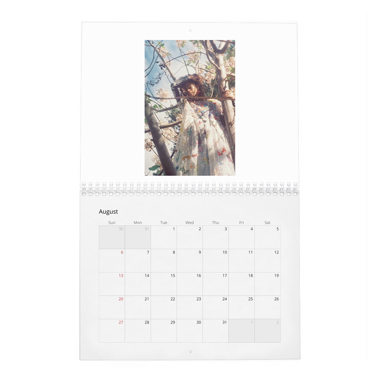 Zendaya - Wonderland 2027 Wall Calendar