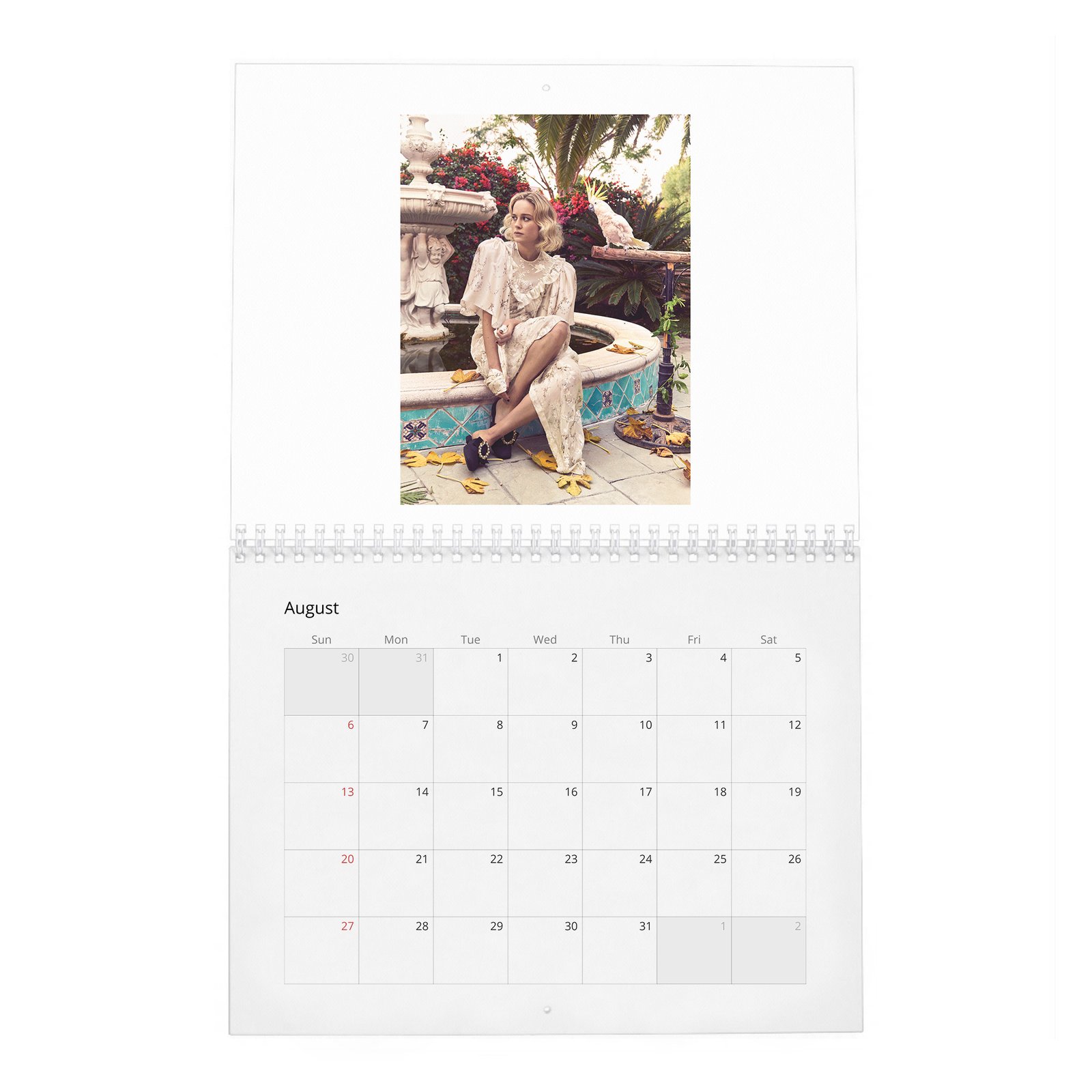 08 Brie Larson - Ready To Kick Some Ass 2027 Wall Calendar