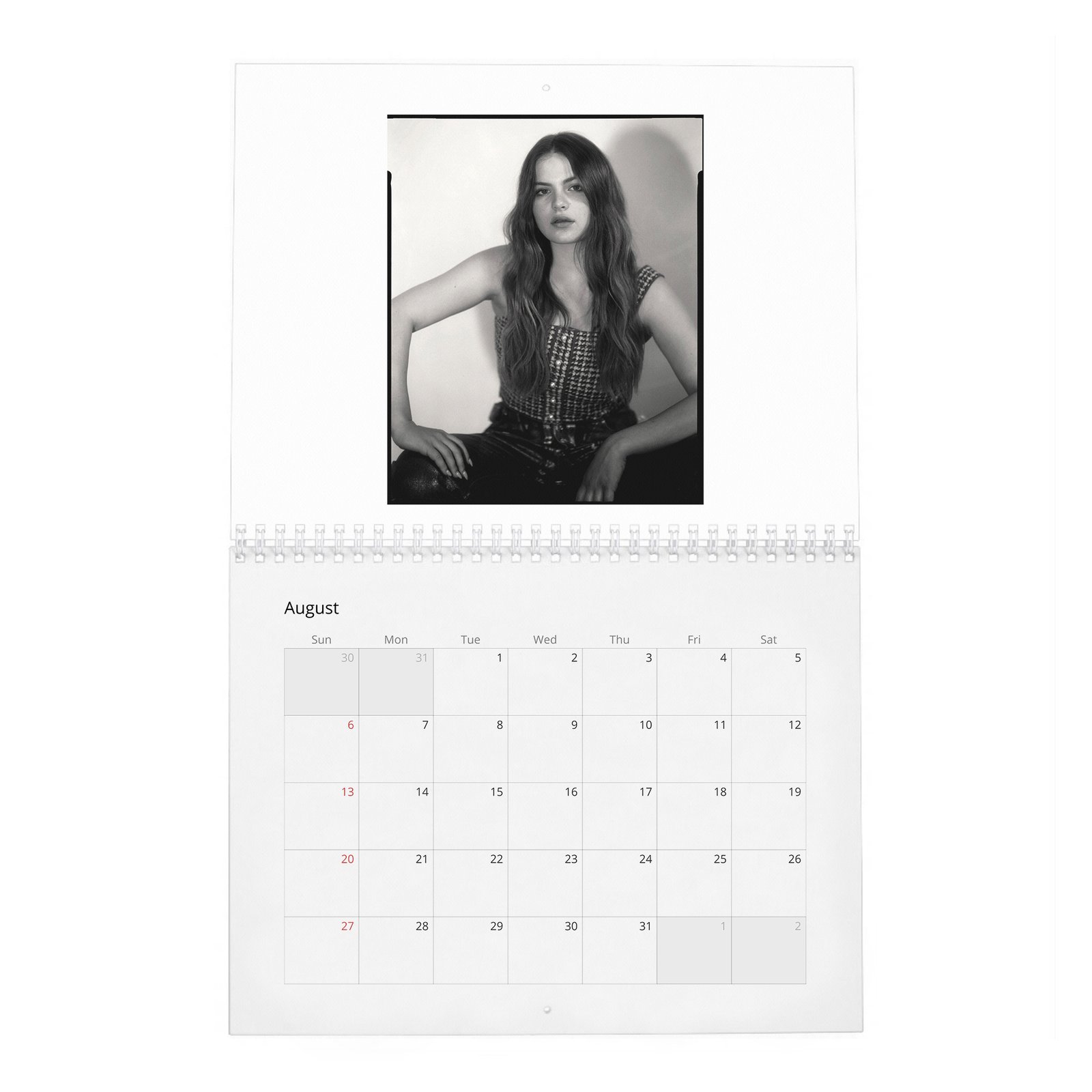 08 Chiara Aurelia - Aptitude And Ease 2027 Wall Calendar