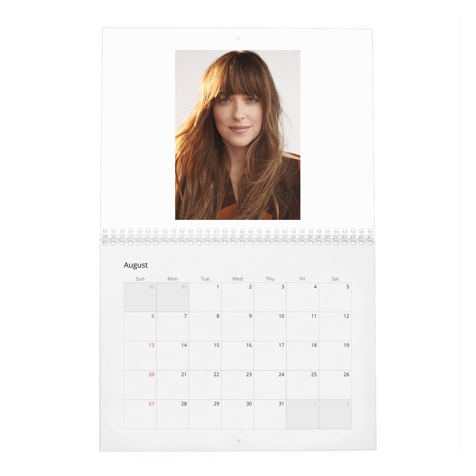 Dakota Johnson - Finding Her Light 2027 Wall Calendar