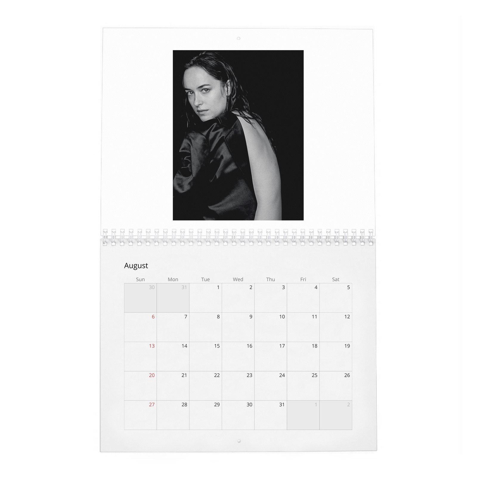Dakota Johnson - Present A New Vision 2027 Wall Calendar