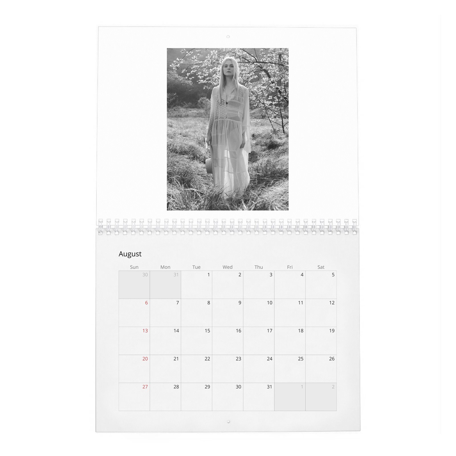 Elle Fanning - Heavenly Creature 2027 Wall Calendar