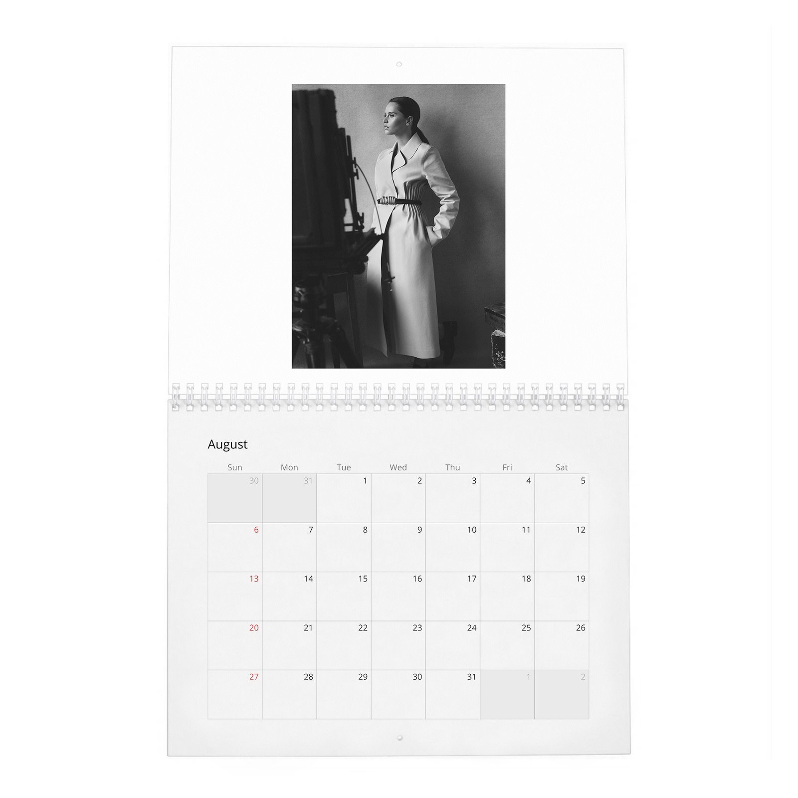 Felicity Jones - Rebel With A Cause 2027 Wall Calendar