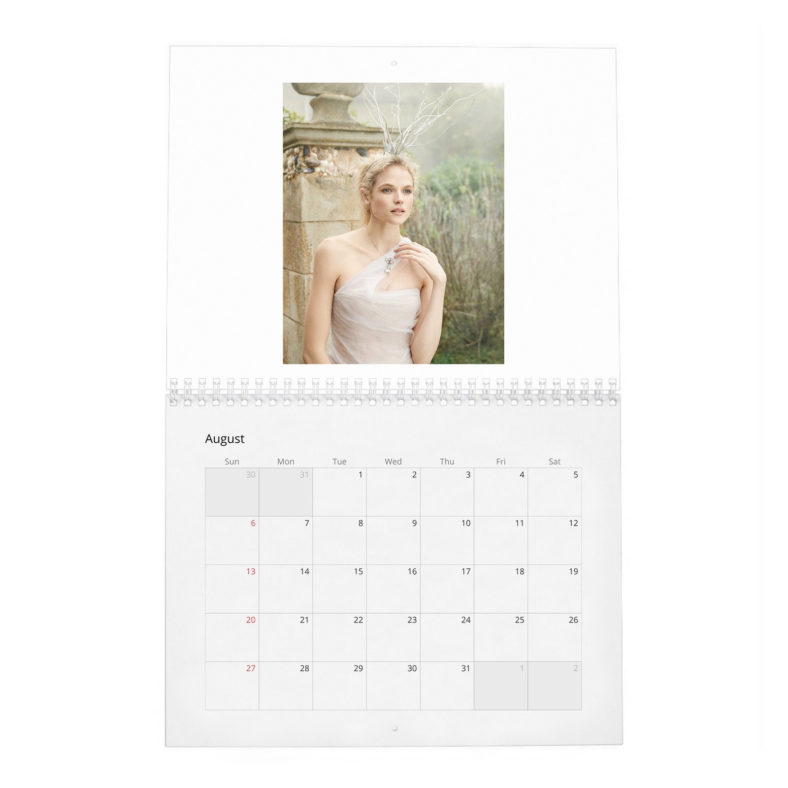 Gabriella Wilde - In Fine Feather 2027 Wall Calendar
