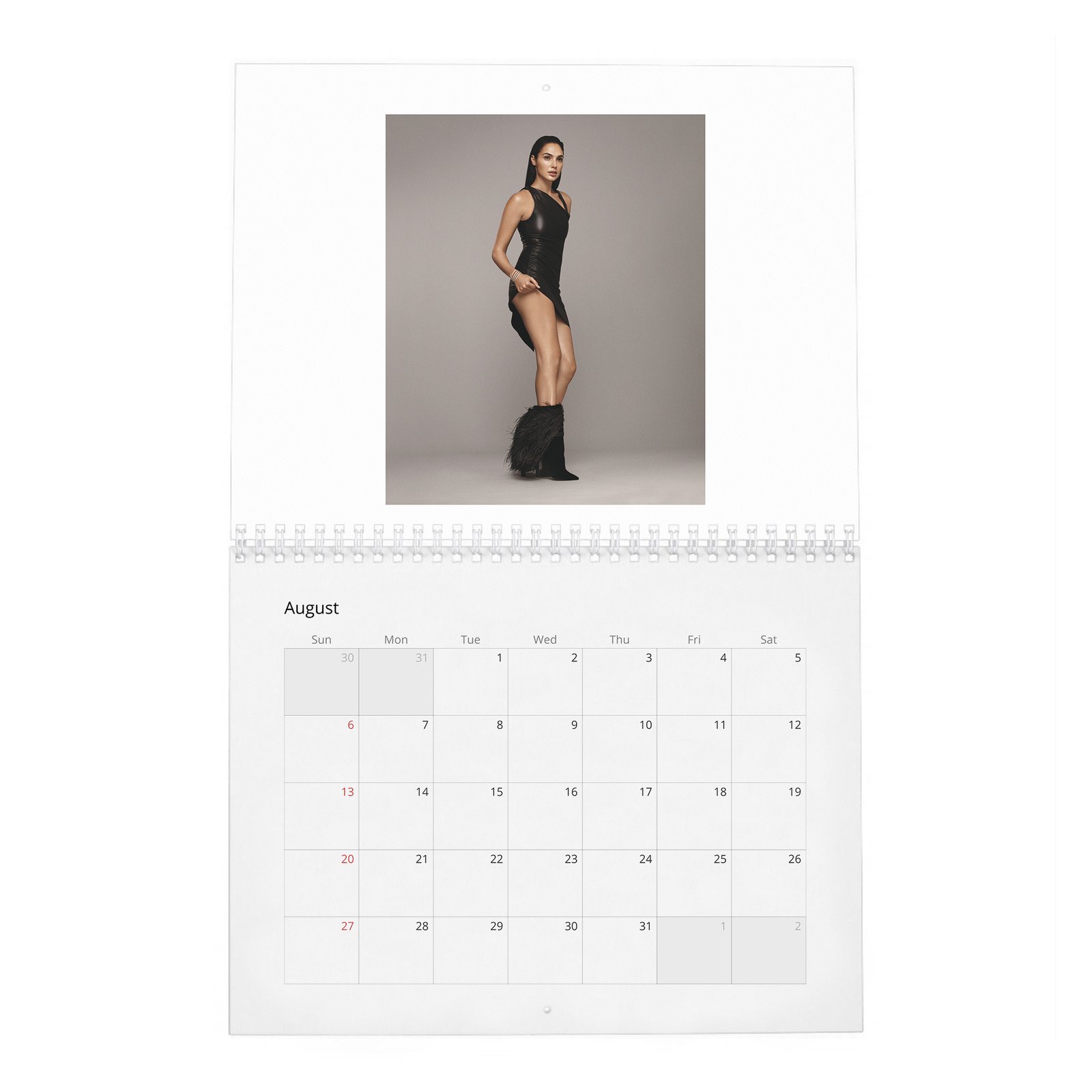 08 Gal Gadot - Real-Life Heroine 2027 Wall Calendar