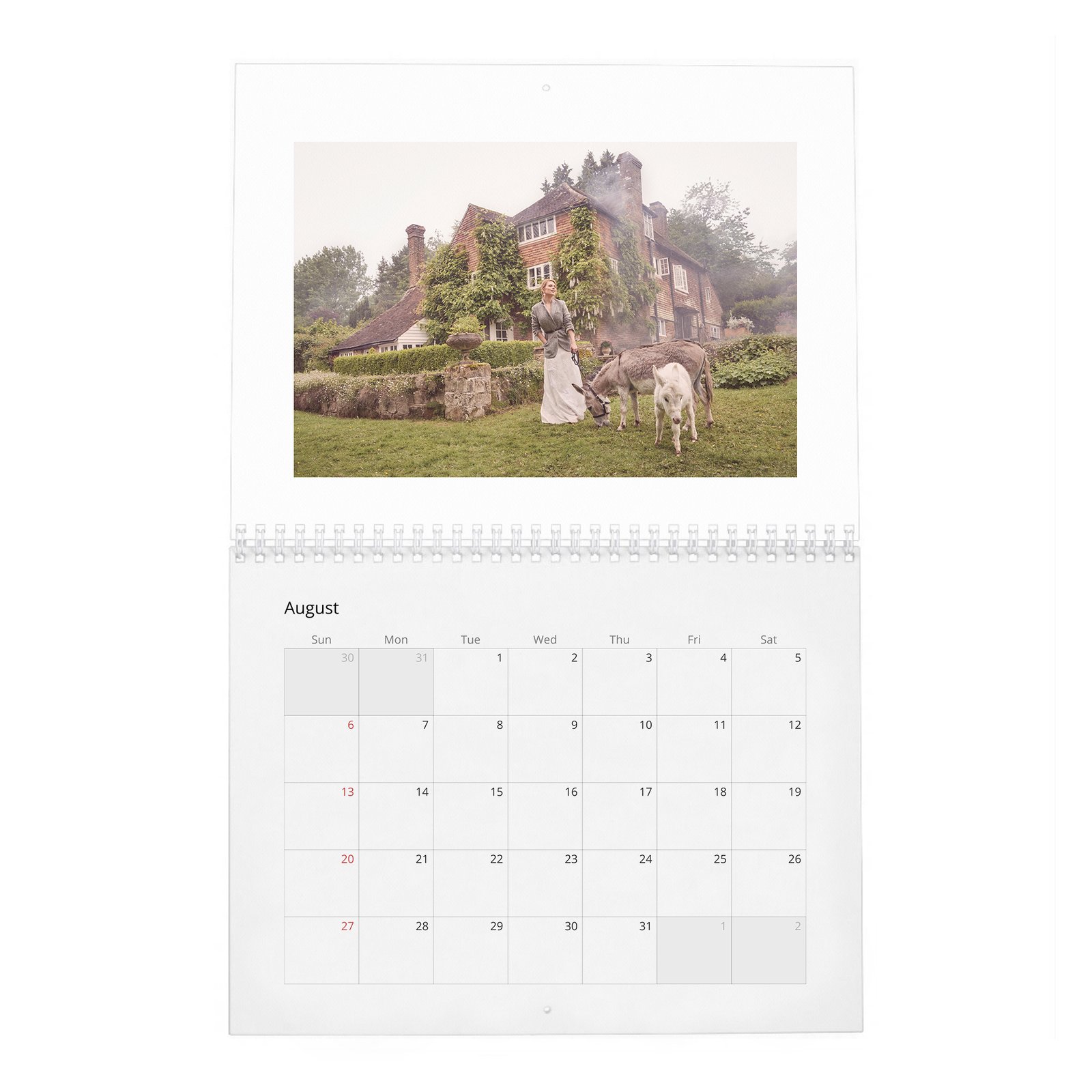 08 Hayley Atwell - Inside The Hundred Acre Wood 2027 Wall Calendar
