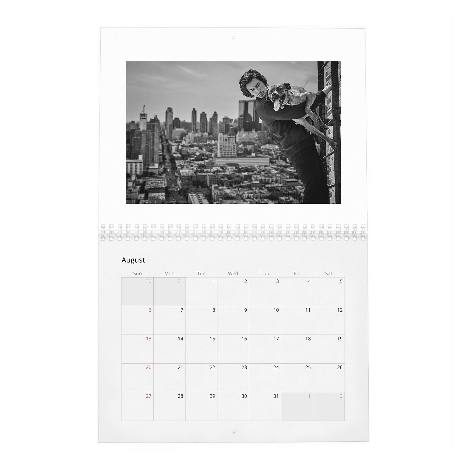 Adam Driver - The Millenial Darth Vader 2027 Wall Calendar