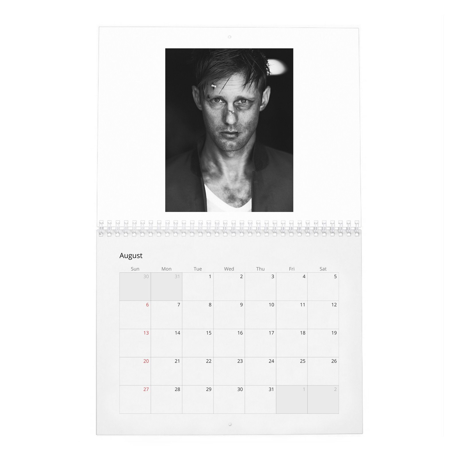 08 Alexander Skarsgard - Knockout At Fortune Gym 2027 Wall Calendar