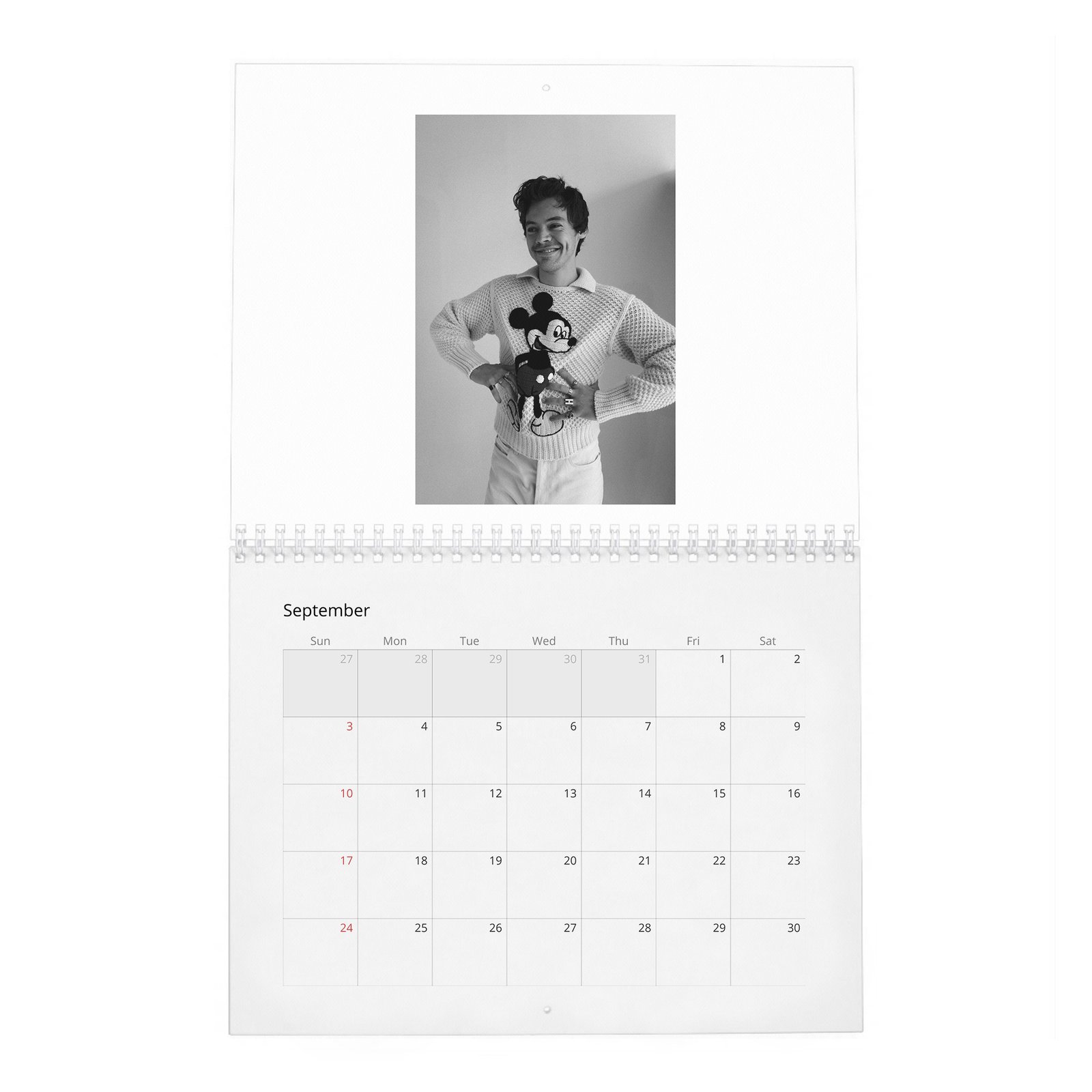 09 Harry Styles - House of Styles 2027 Wall Calendar