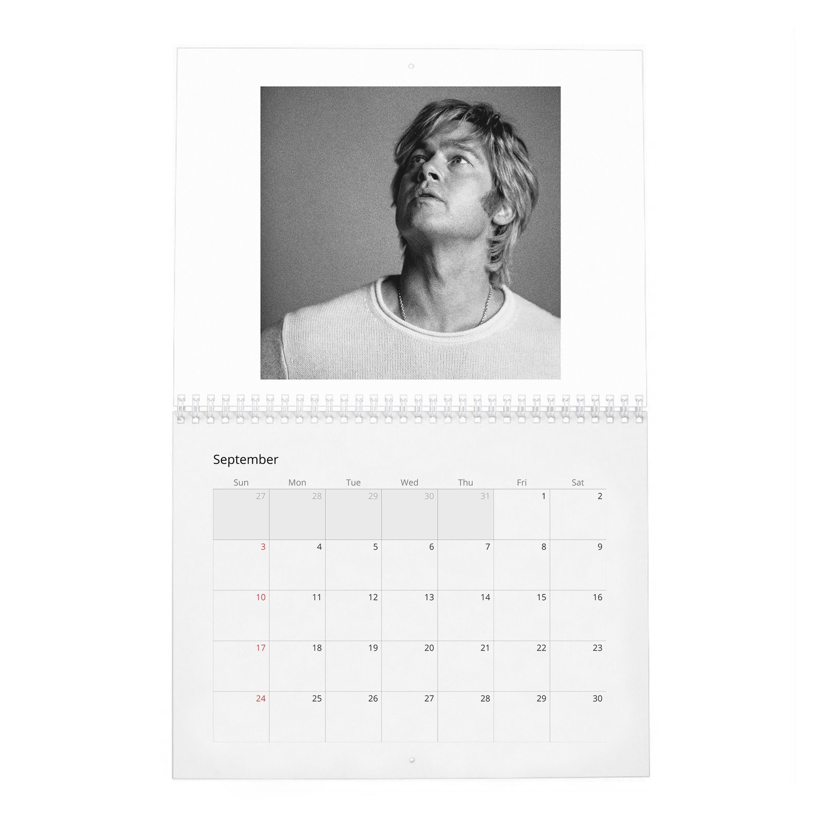 Brad Pitt - Born To Be Brad 2027 Wall Calendar