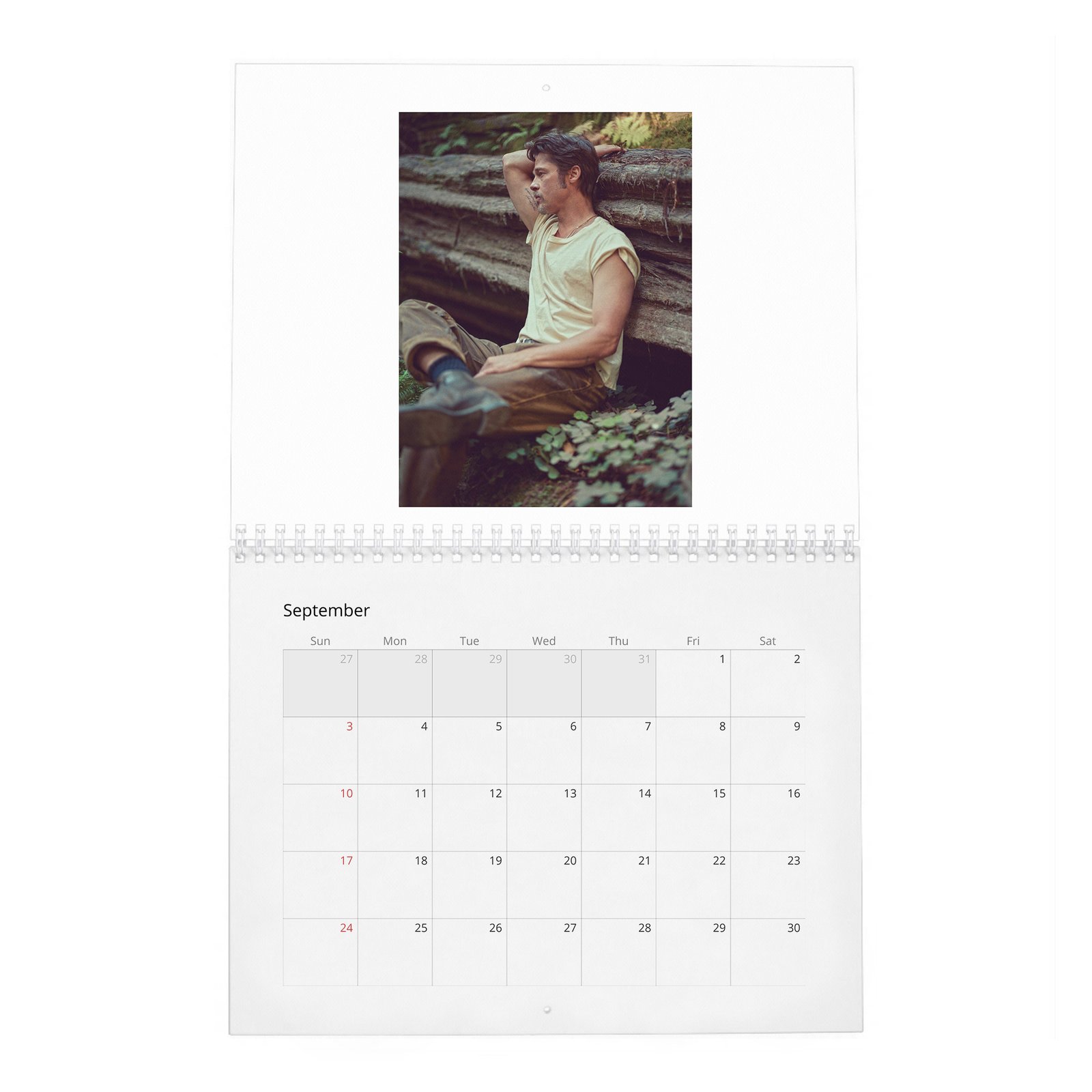09 Brad Pitt - Forest Soul 2027 Wall Calendar