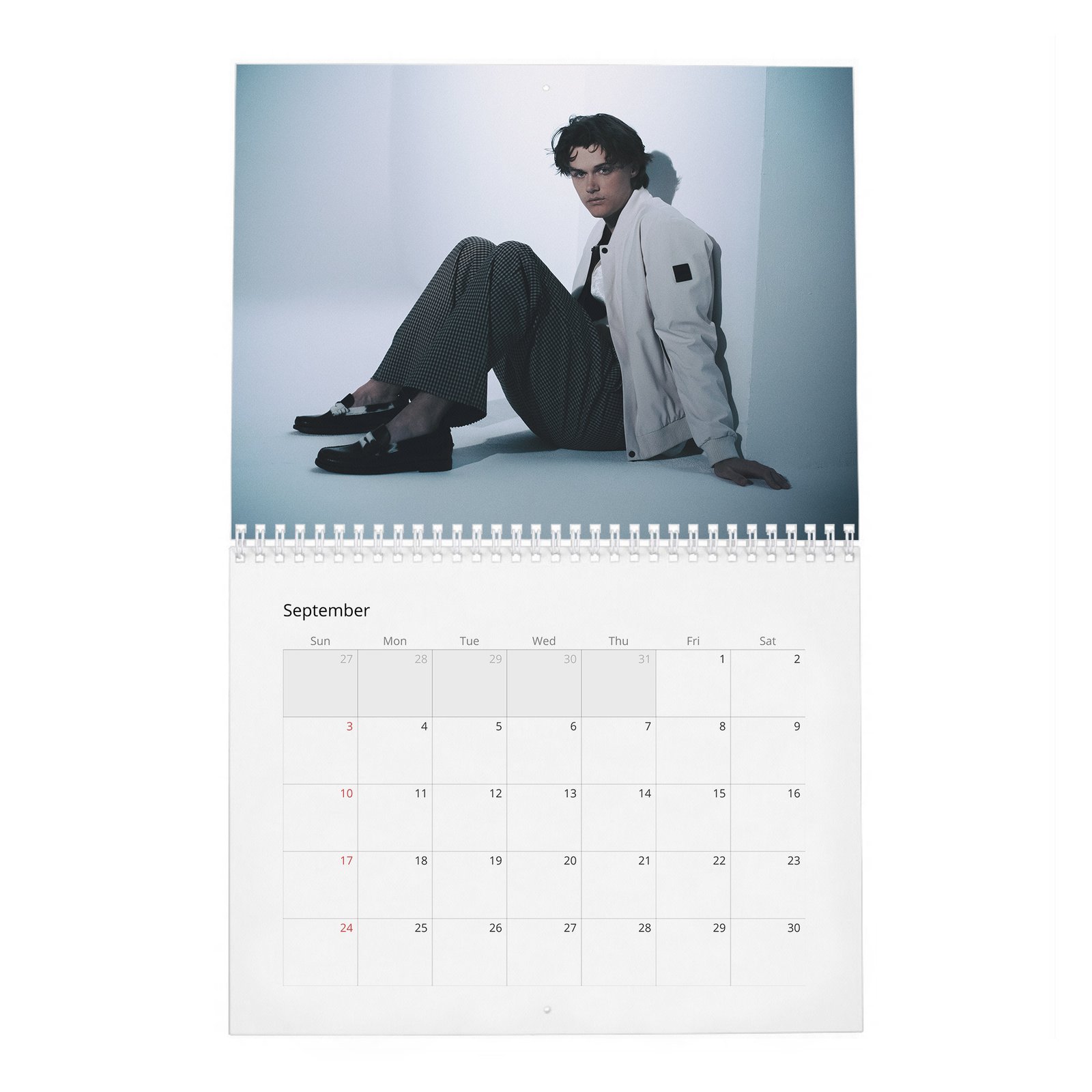 Christopher Briney - New Star 2027 Wall Calendar