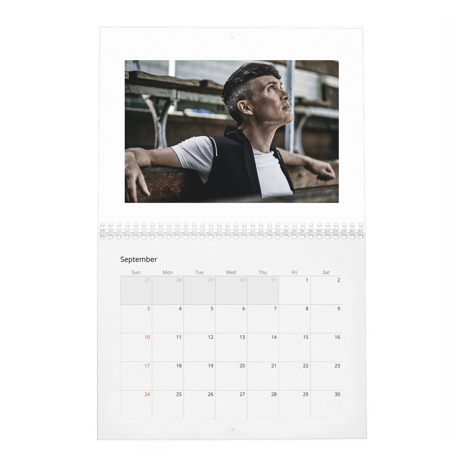 09 Cillian Murphy - Actor Of The Year 2027 Wall Calendar